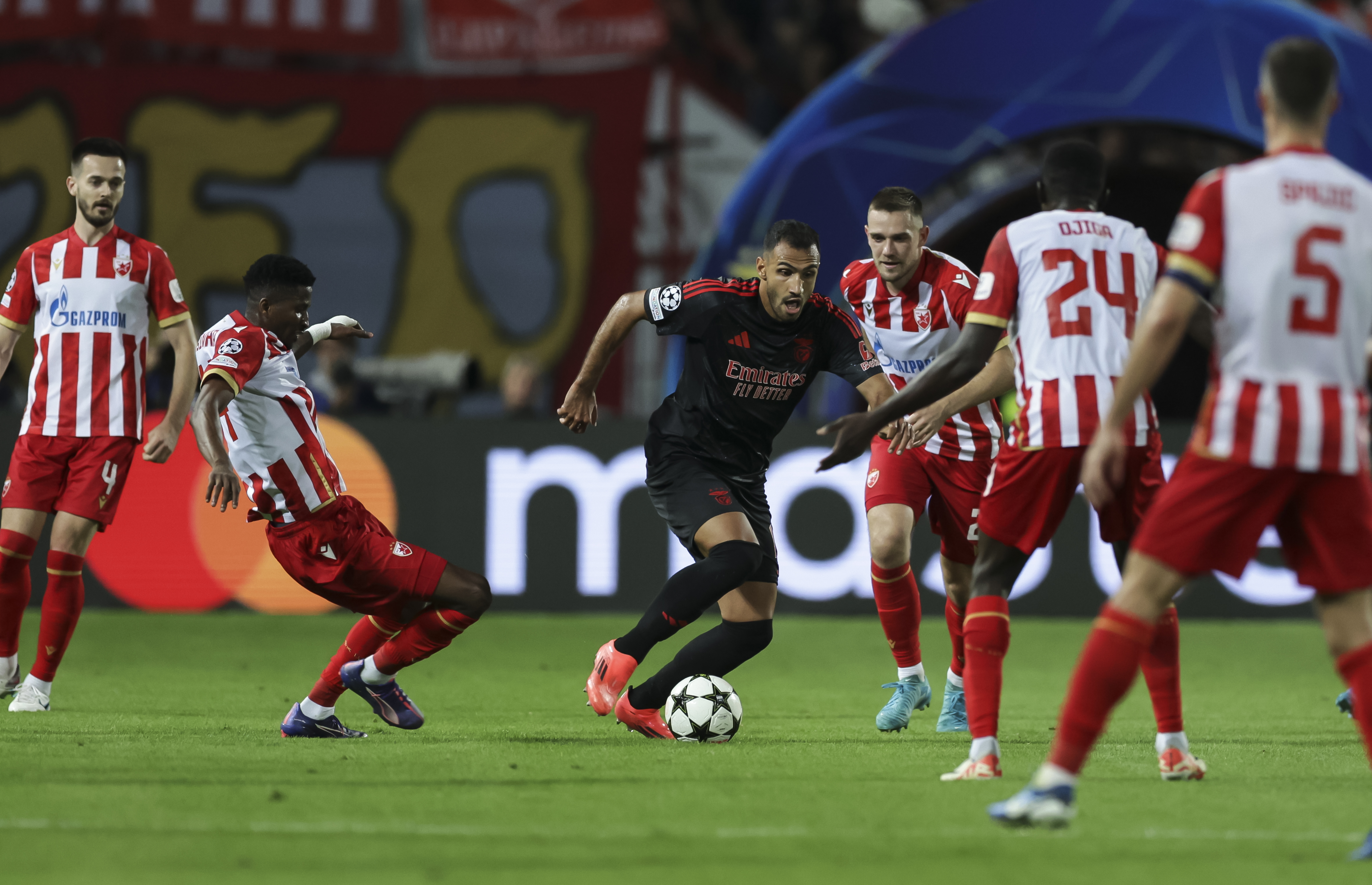 Crvena Zvezda v Benfika - UEFA Champions League