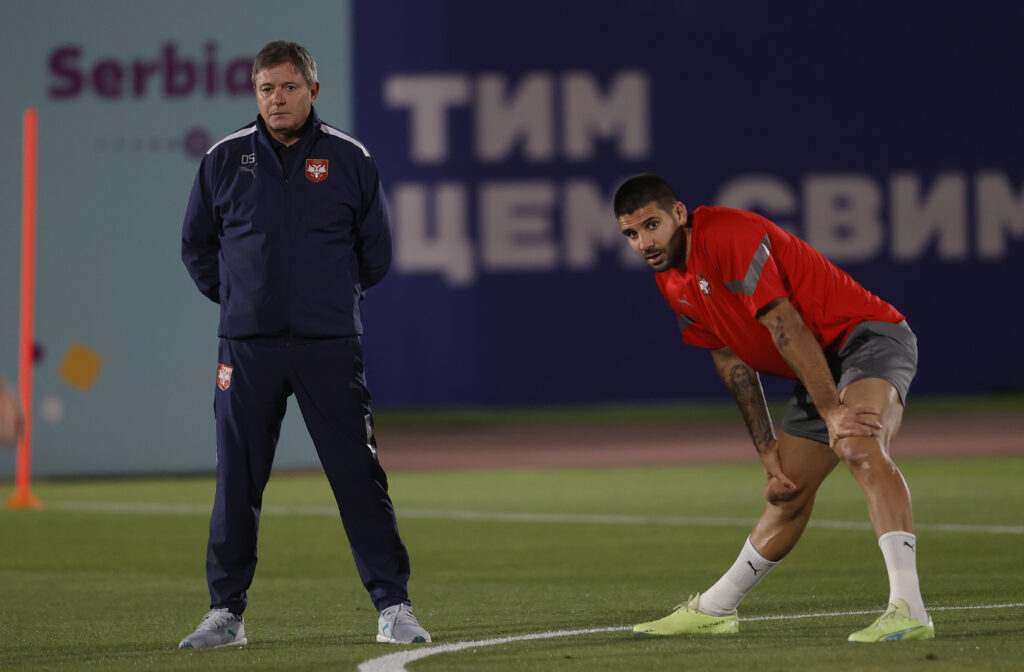 head coach Dragan Stojkovic Aleksandar Mitrovic Fifa World Cup 2022, Group stage G, football training, 23. Novembar 2022
foto: STARSPORT