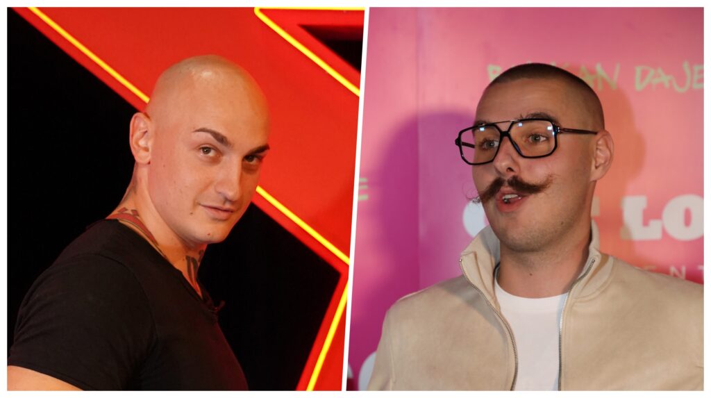 desingerica i pljugica