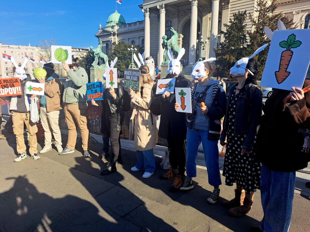 Beograd 06. februar 2024. Zečevi se sutra skupljaju ispred Skupštine pred početak konstitutivne sednice, Organizovana grupa Sviće, zecevi performas ispred Skupstine Srbije Foto:Nova.rs