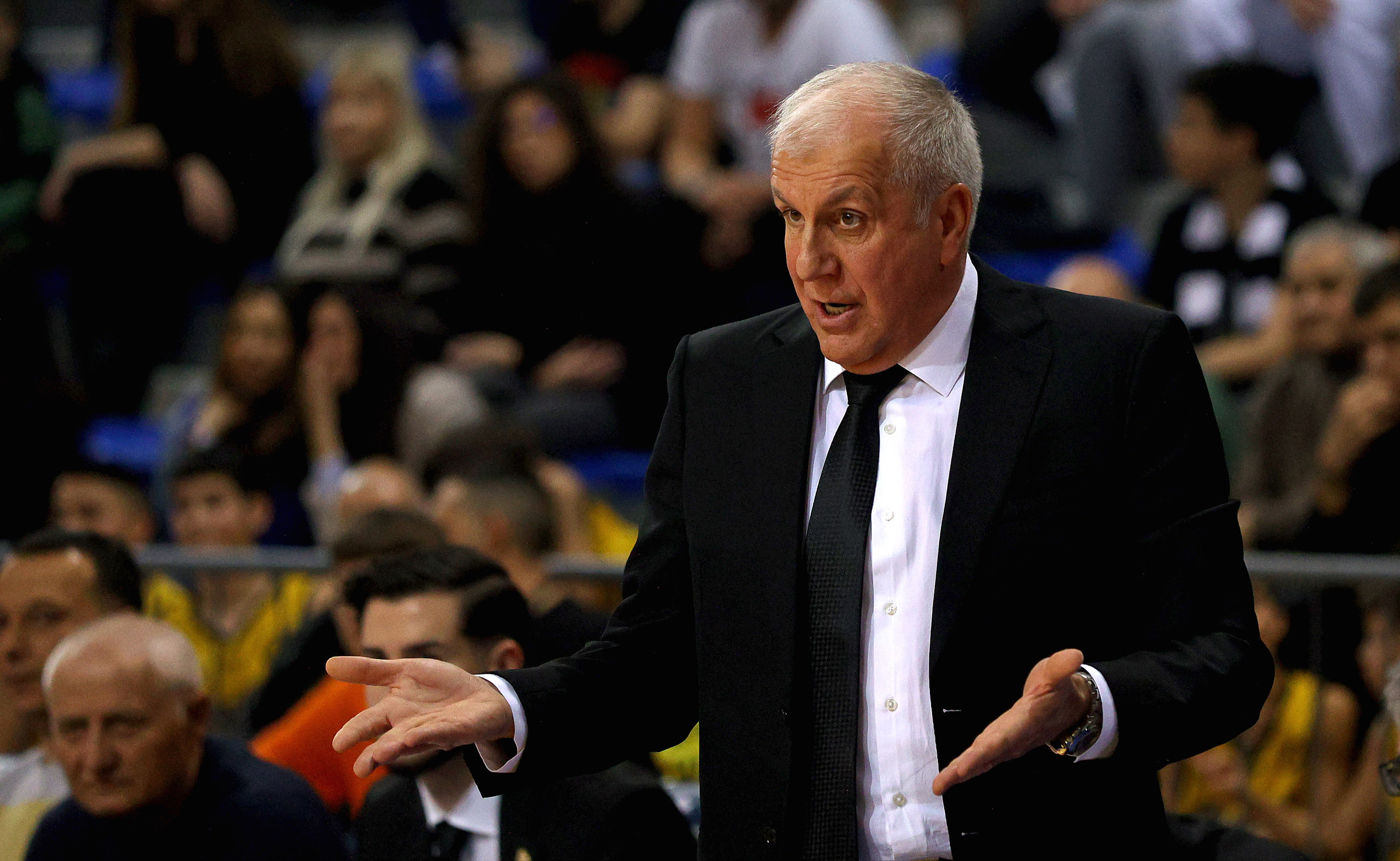 partizan-hercegovac-krk-786966