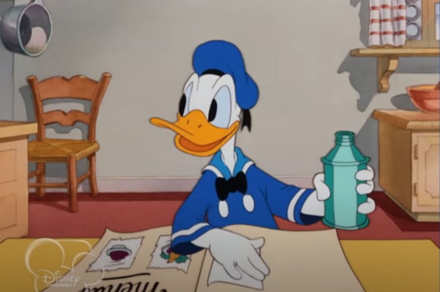 1717942697-paja-patak-1-900x598