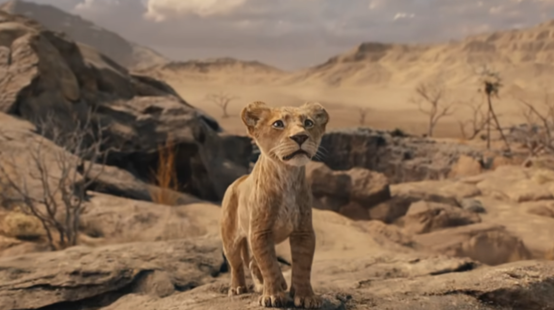 Screenshot 2024-05-01 at 18.10.08