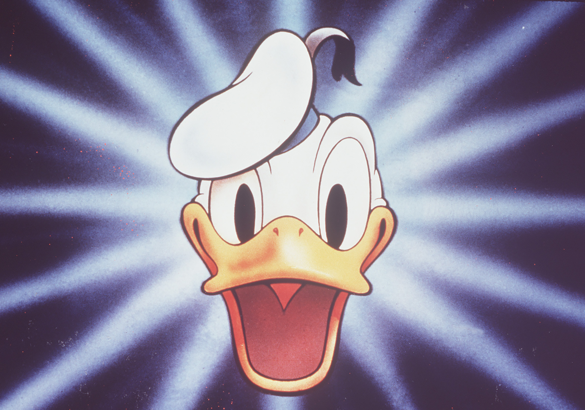 Donald Duck