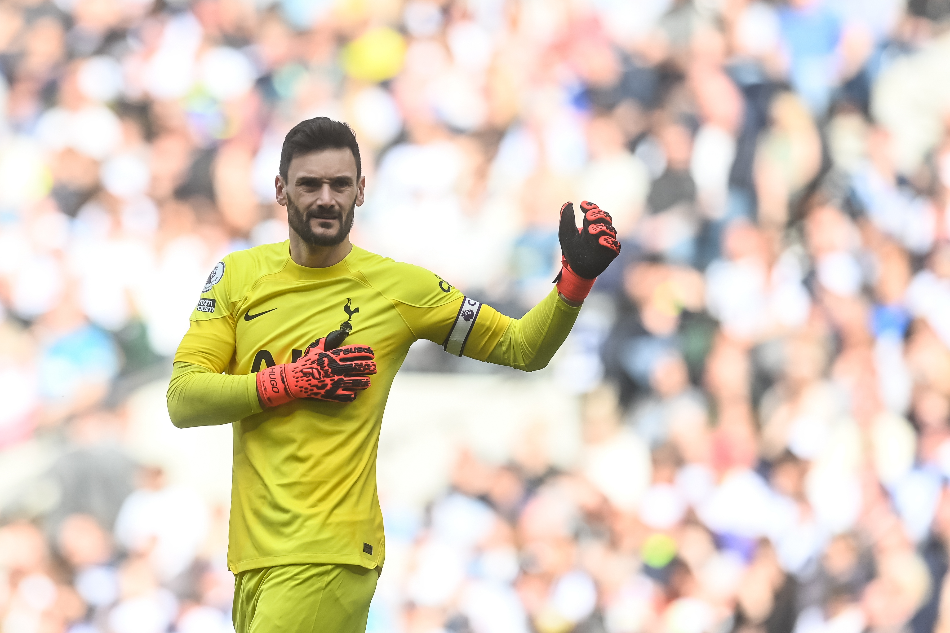 English Premier League - Tottenham Hotspur vs Brighton &amp; Hove Albion