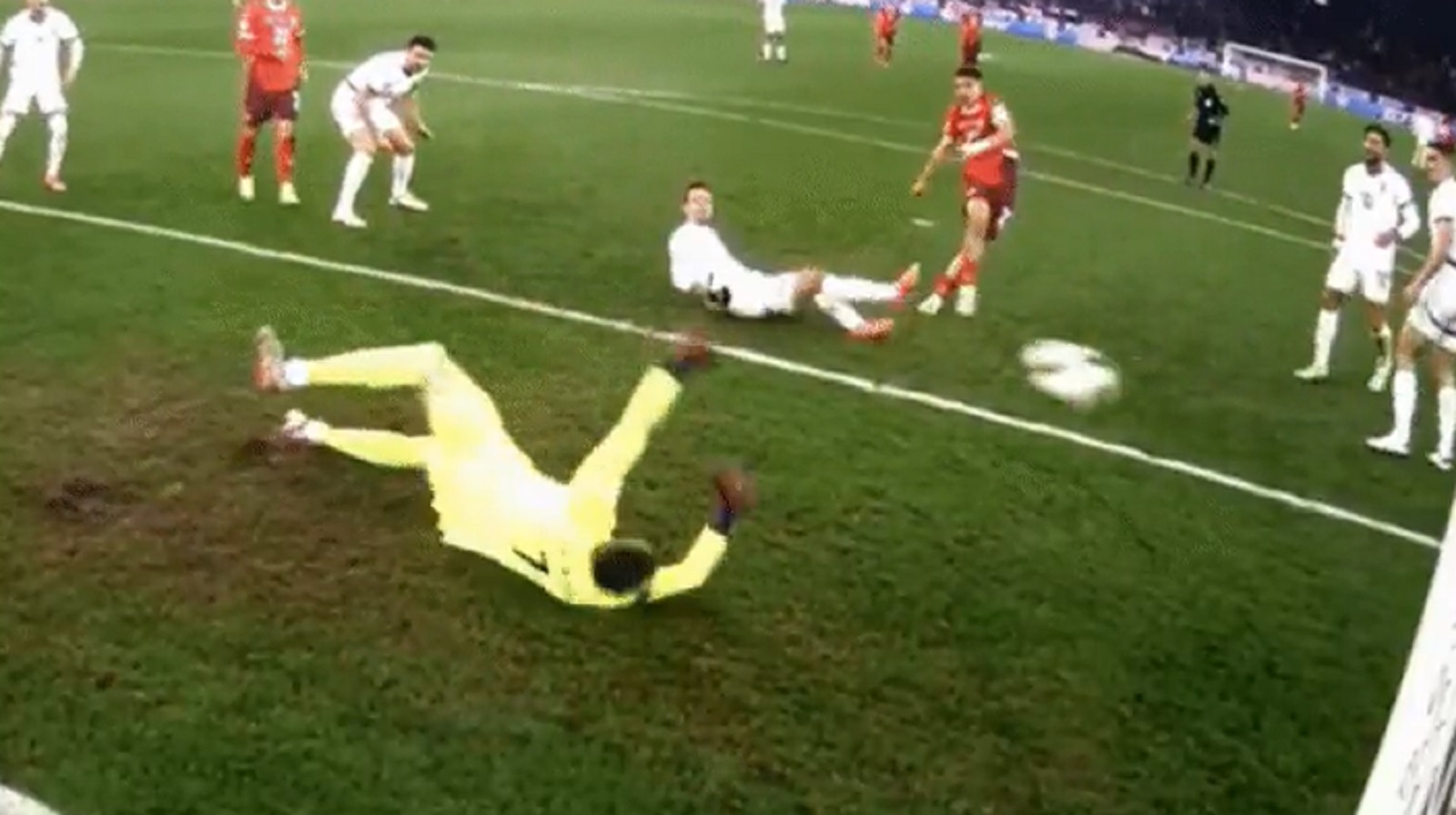 petrovic odbrana švacjarska