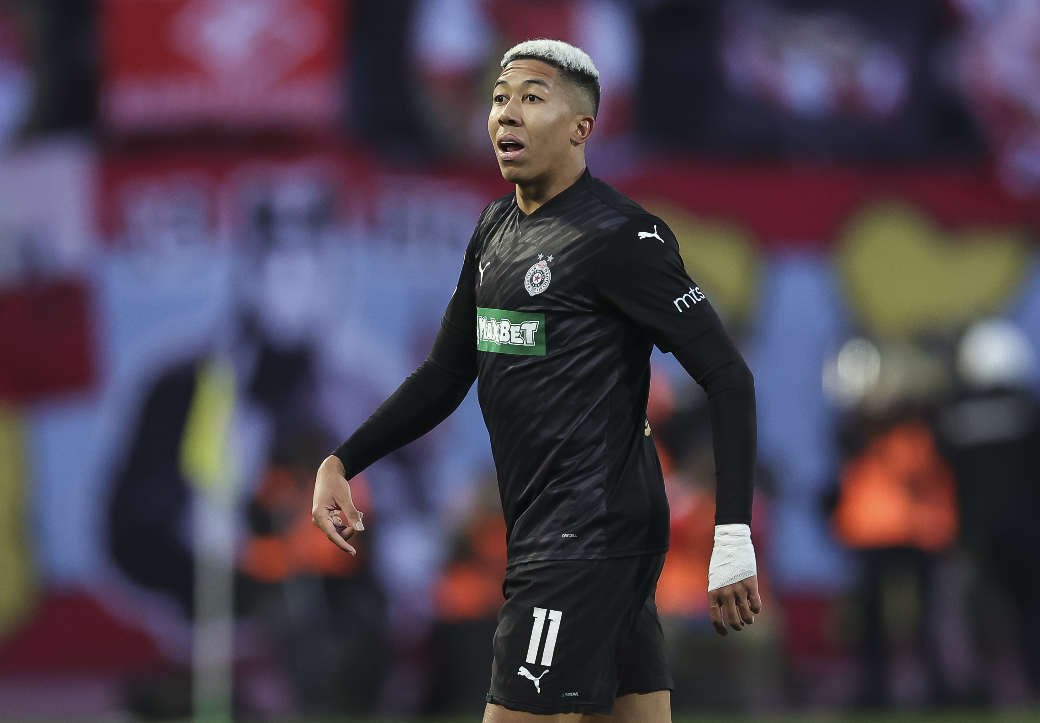 Crvena Zvezda v Partizan - Mozzart Super League Season 2023/2024