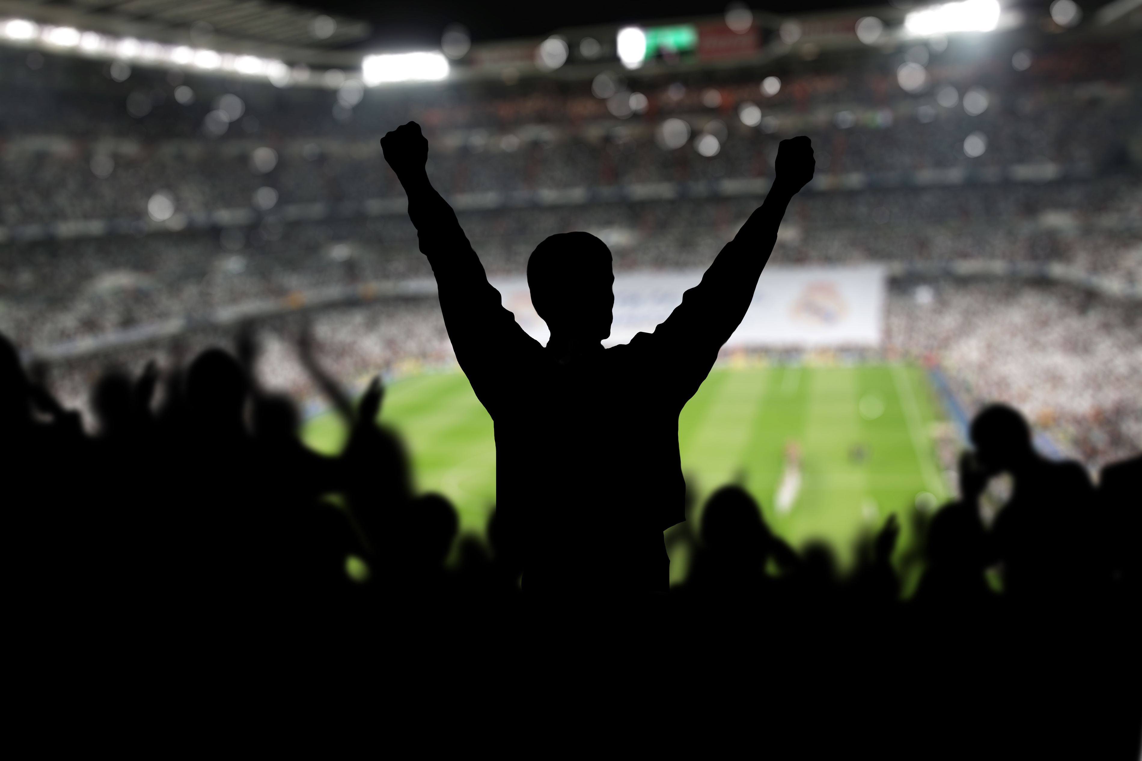 Image,Of,A,Full,Stadium,With,Silhouettes,Of,Fan,On