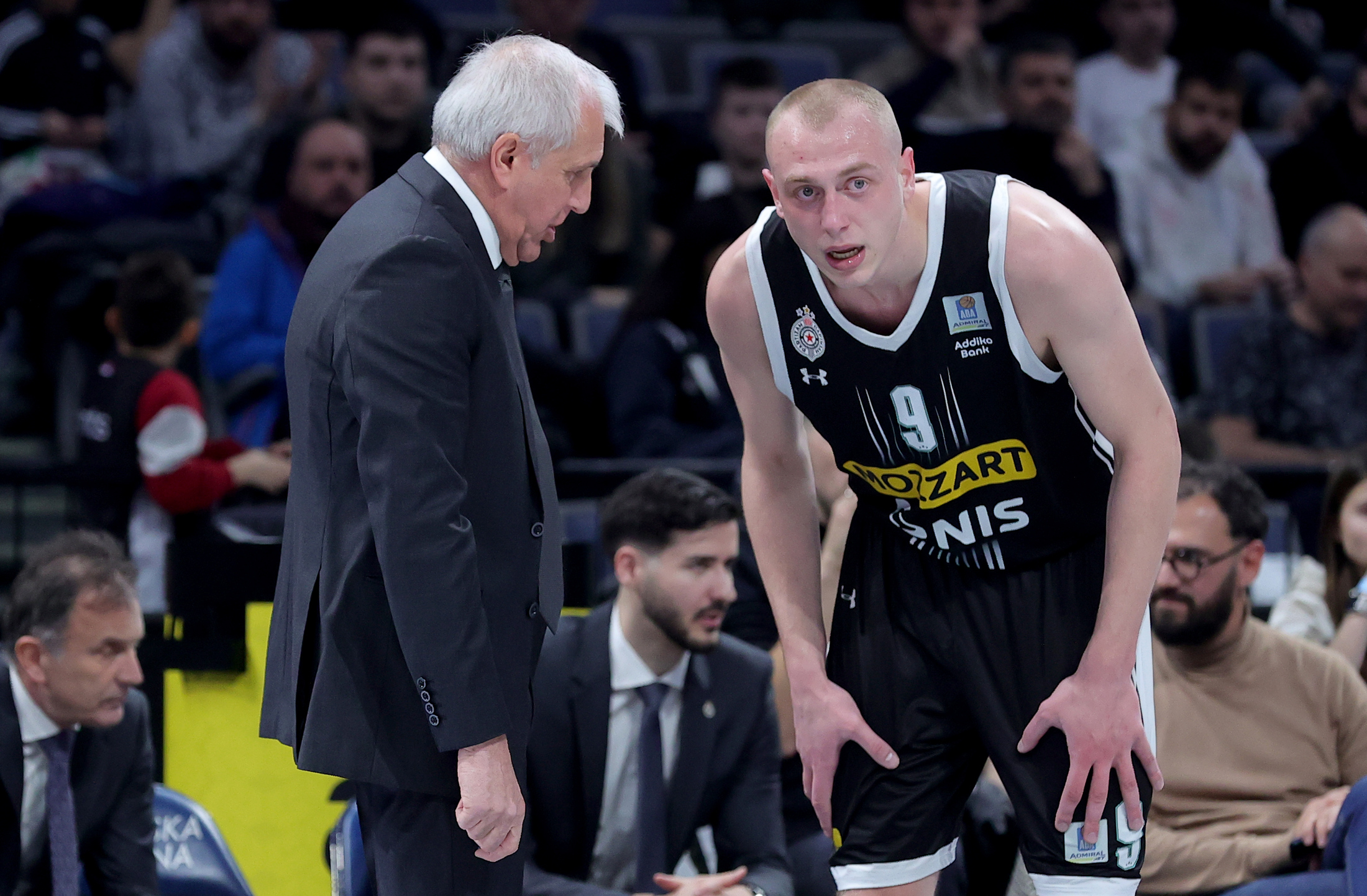 partizan-split-39497