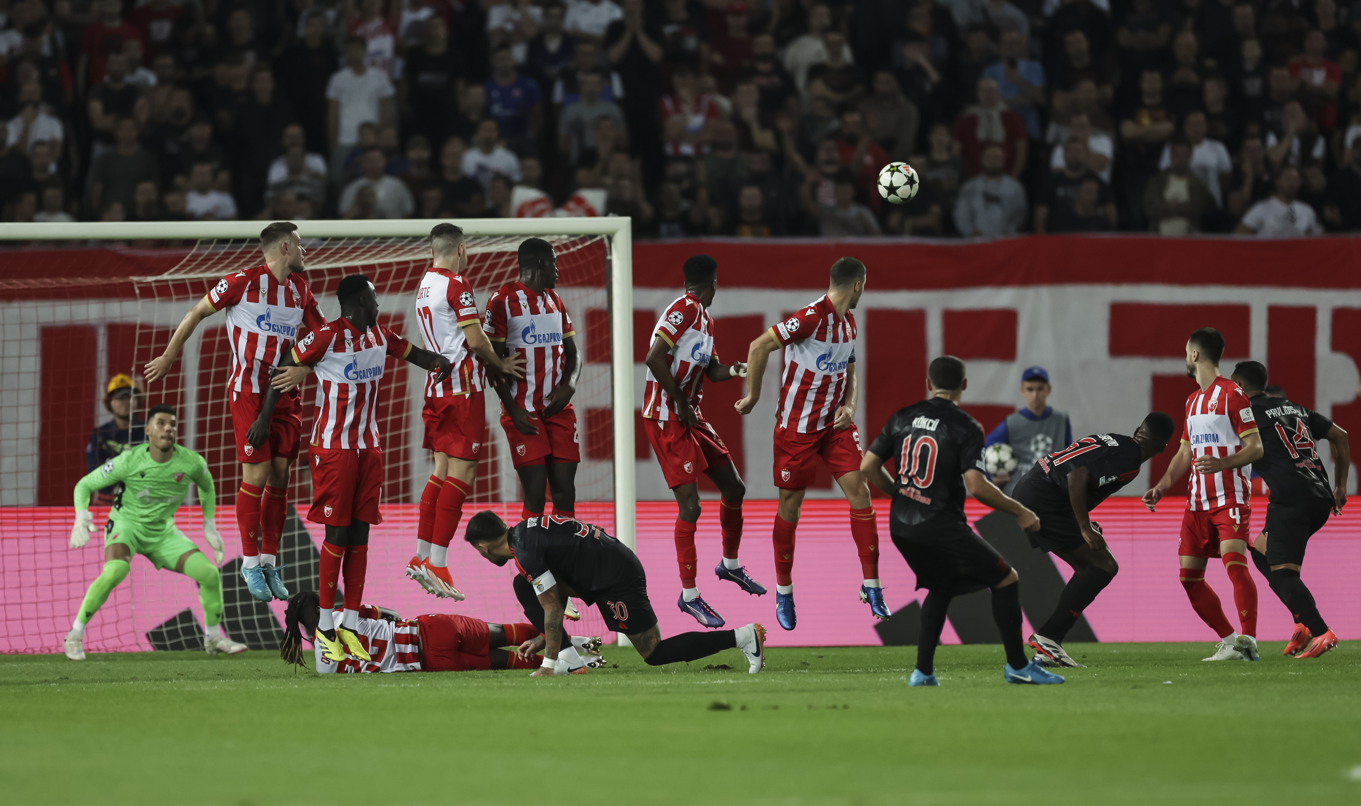 Crvena Zvezda v Benfika - UEFA Champions League