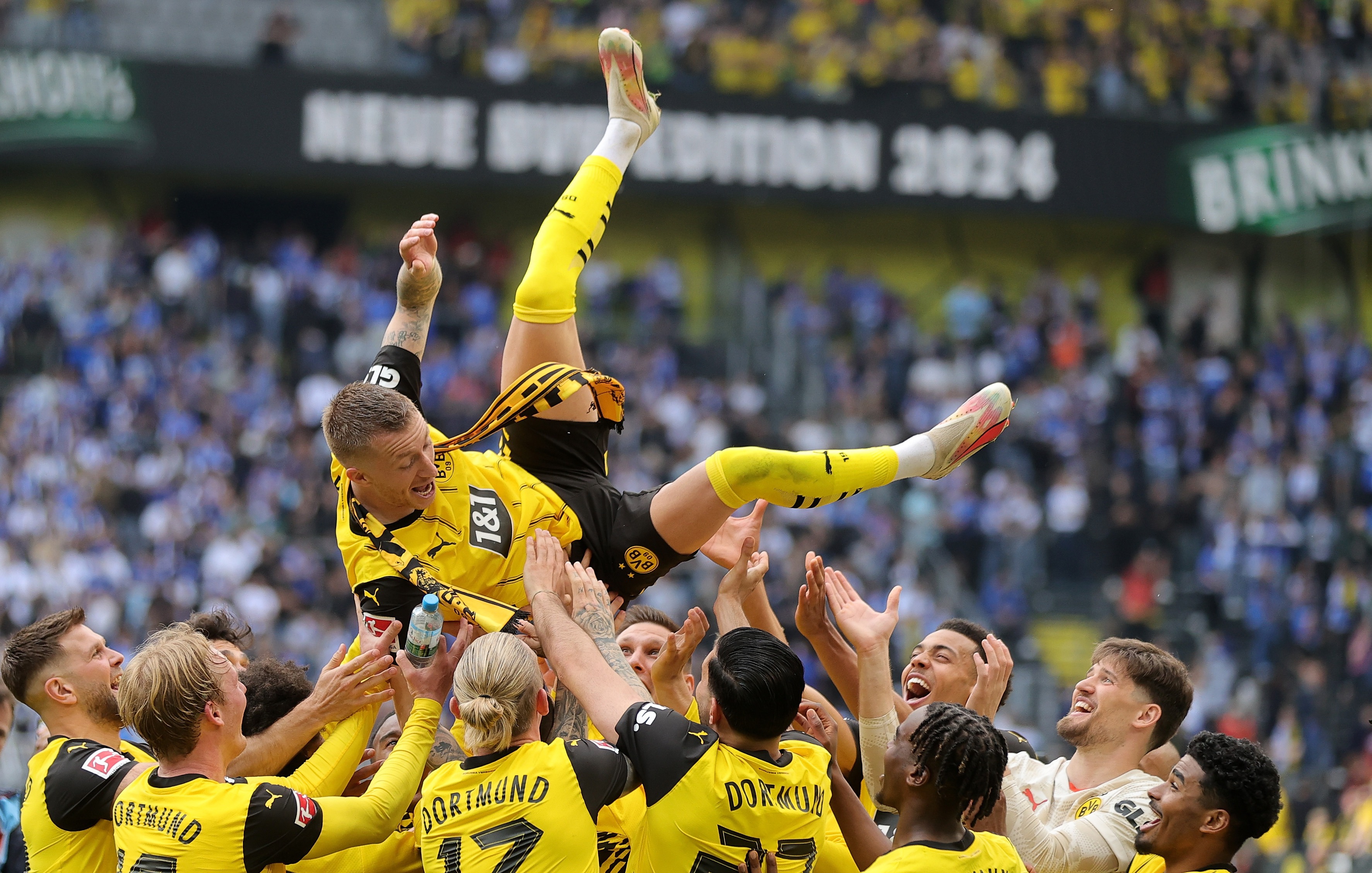Bundesliga - Borussia Dortmund vs SV Darmstadt 98