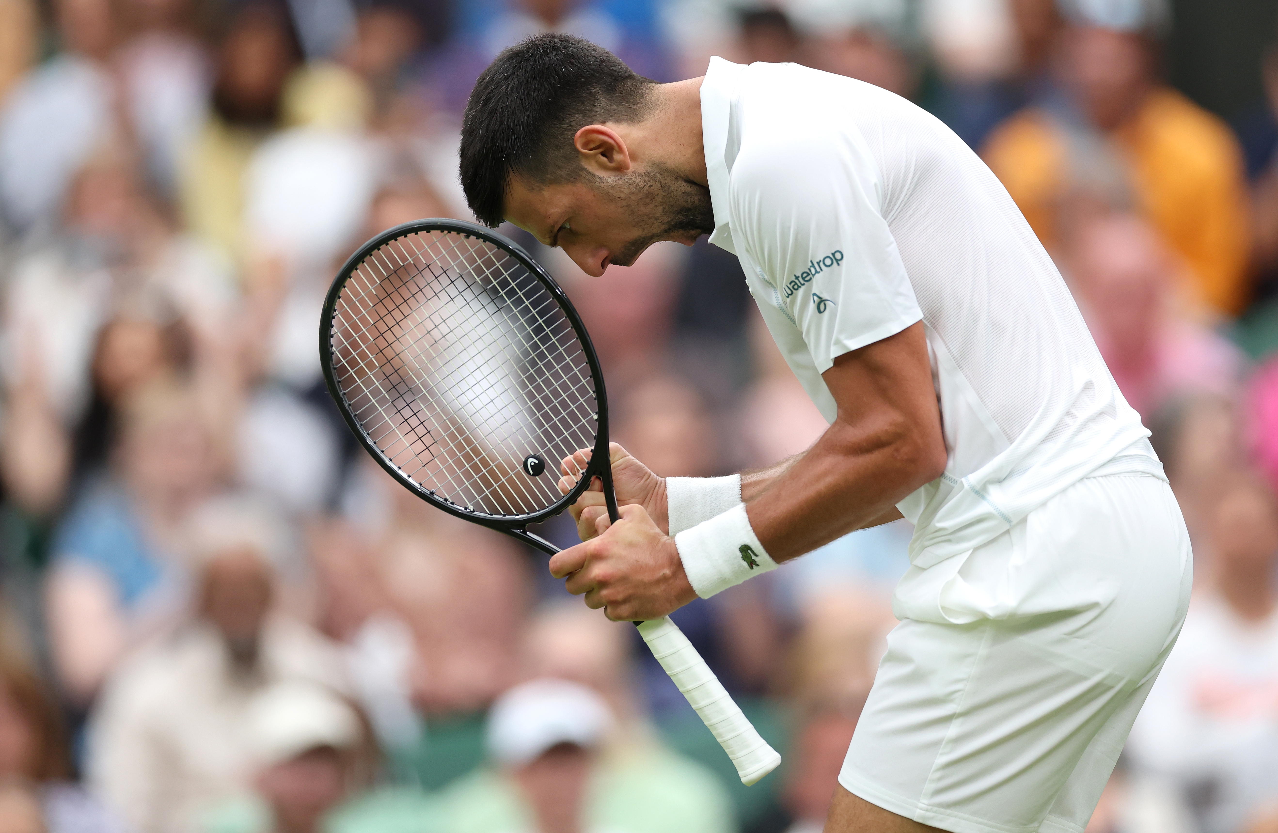 epa11452605 Novak Djokovic of Serbia celebrates winning a break point during the Men's 1st round match against Vit Kopriva of the Czech Republic at the Wimbledon Championships, Wimbledon, Britain, 02 July 2024.  EPA-EFE/NEIL HALL  EDITORIAL USE ONLY