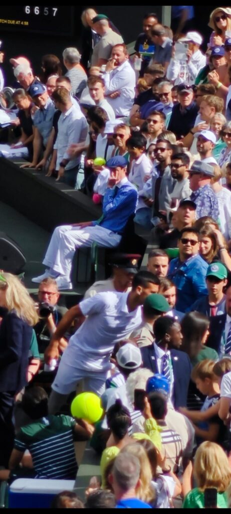 1720134418-novak-navijac-461x1024.jpg