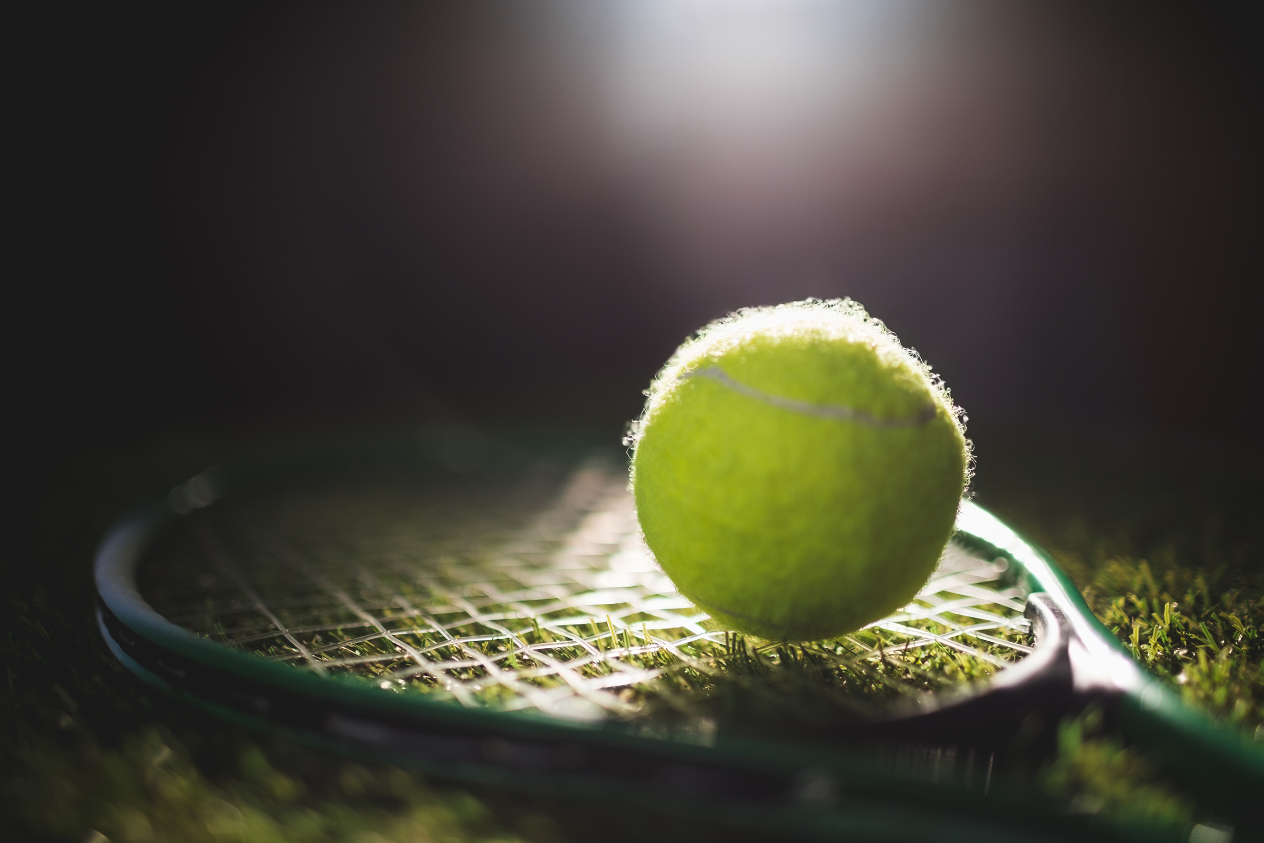 Close up of tennis ball with racket on grass tenis vimbldon