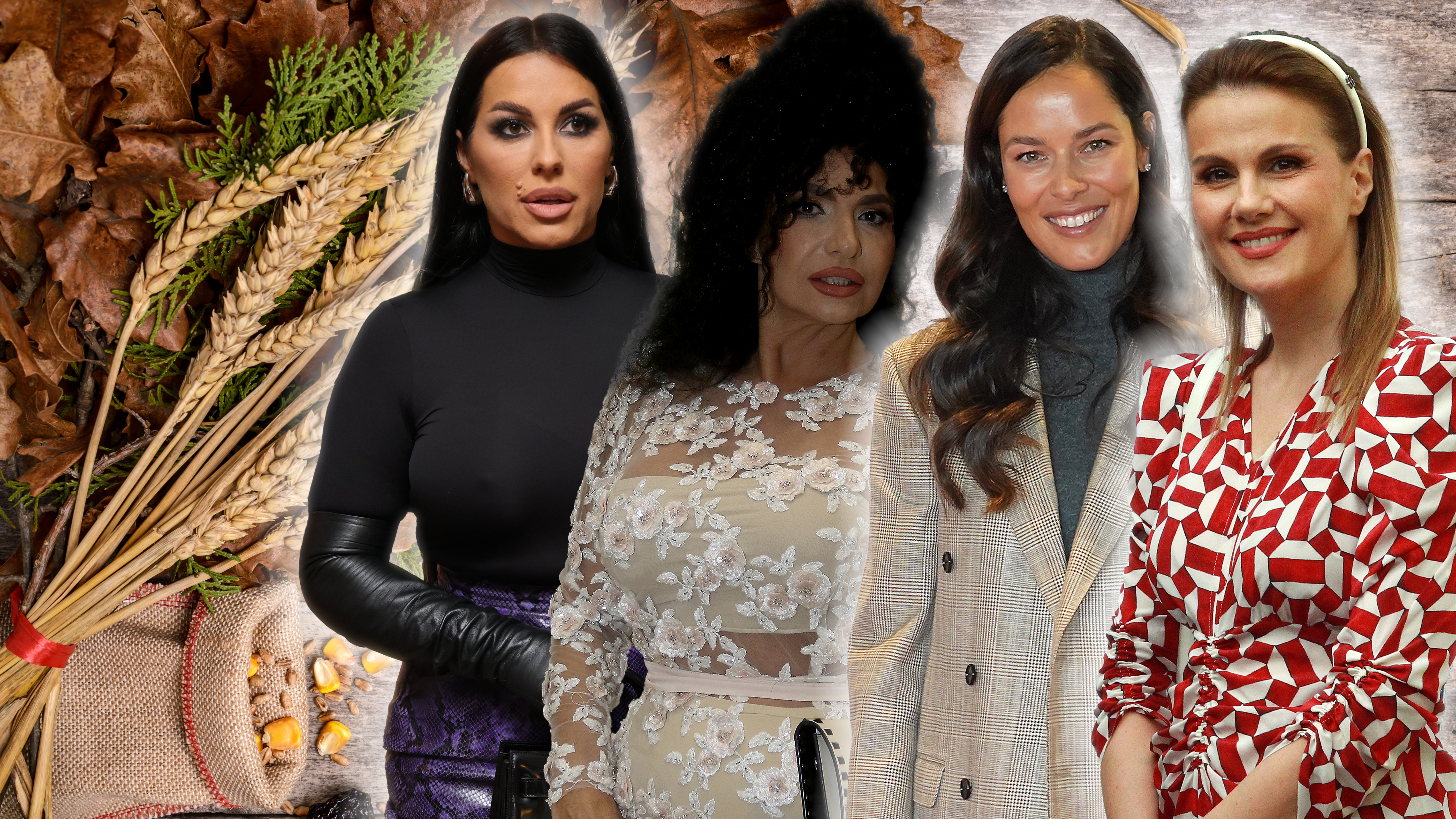 Seka Aleksić, Lidija Vukićević, Ana Ivanović i Maja Nikolić Božić, kombo Foto: Shutterstock/M.M./Antonio Ahel/A.K./ATAImages