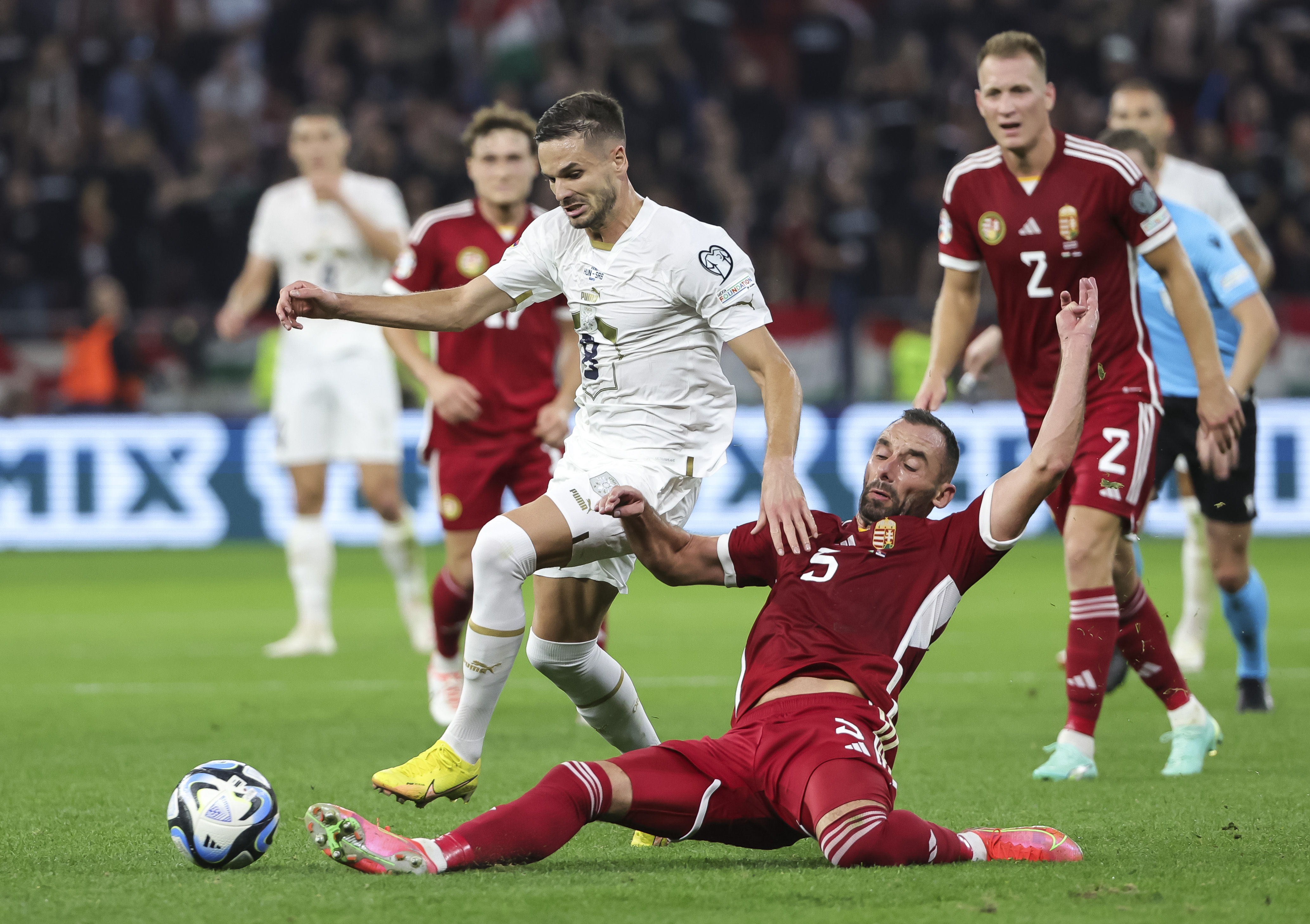 Hungary v Serbia: Group G - UEFA EURO 2024 European Qualifiers