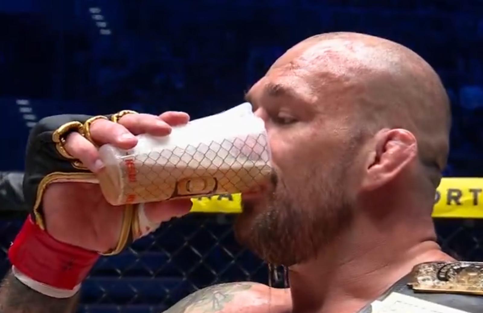 de fris pivo stošić