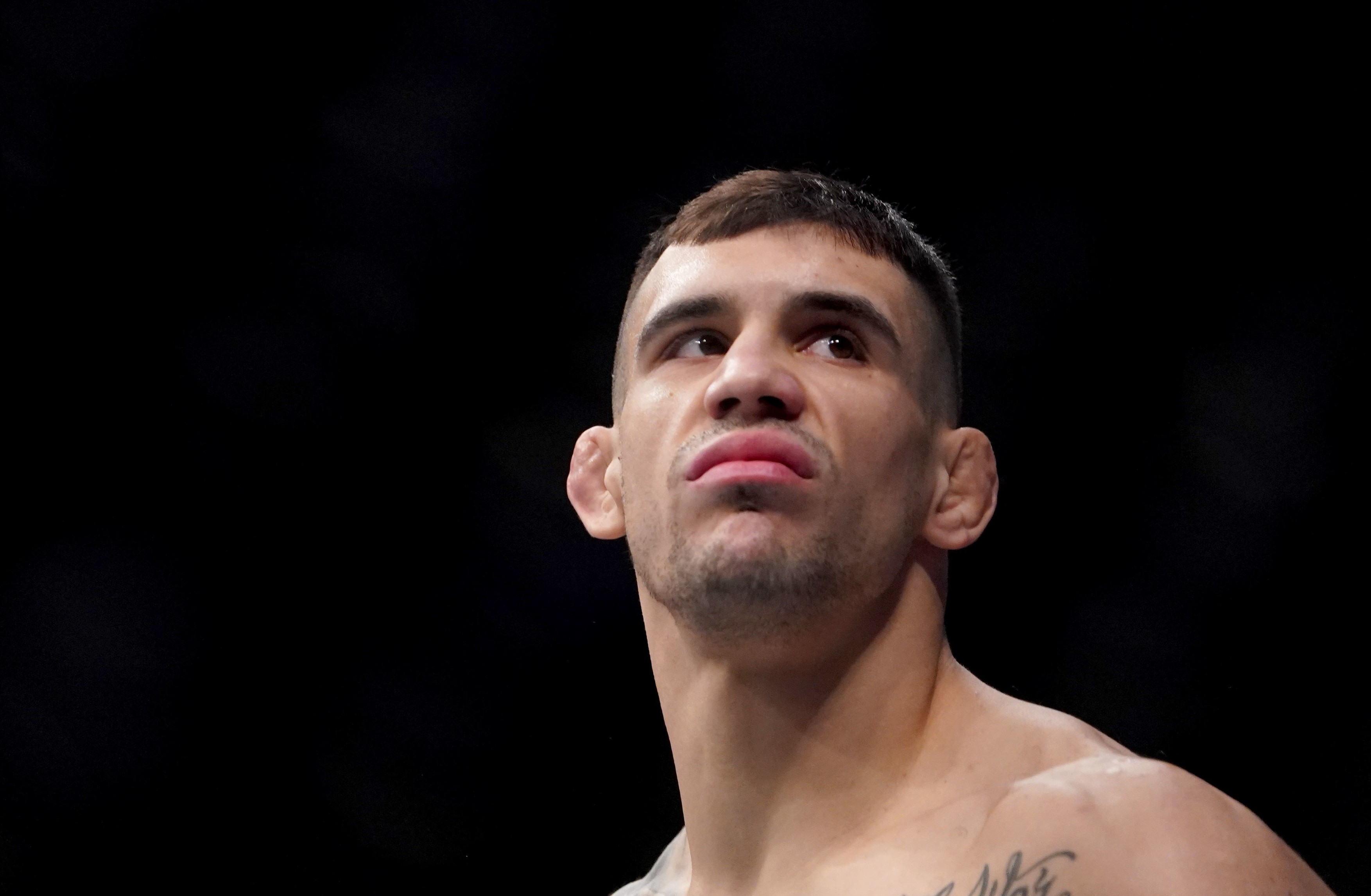 Aleksandar Rakic
UFC Fight Night 165, Busan, South Korea - 21 Dec 2019,Image: 489347460, License: Rights-managed, Restrictions: , Model Release: no, Credit line: Seokyong Lee / Shutterstock Editorial / Profimedia