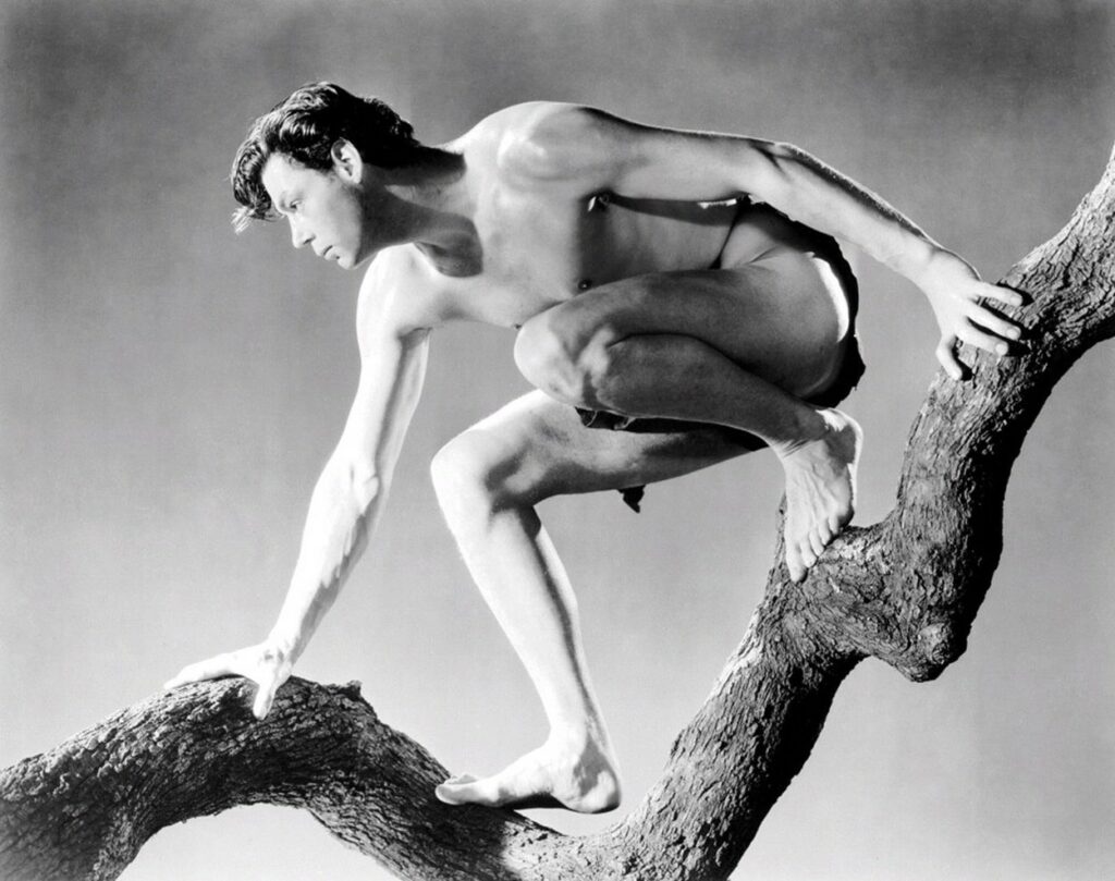 Johnny Weissmuller  
in Tarzan and His Mate
*Filmstill - Editorial Use Only*,Image: 97774263, License: Rights-managed, Restrictions: *Filmstill - Editorial Use Only*, Model Release: no, Credit line: FilmStills.net / Film Stills / Profimedia