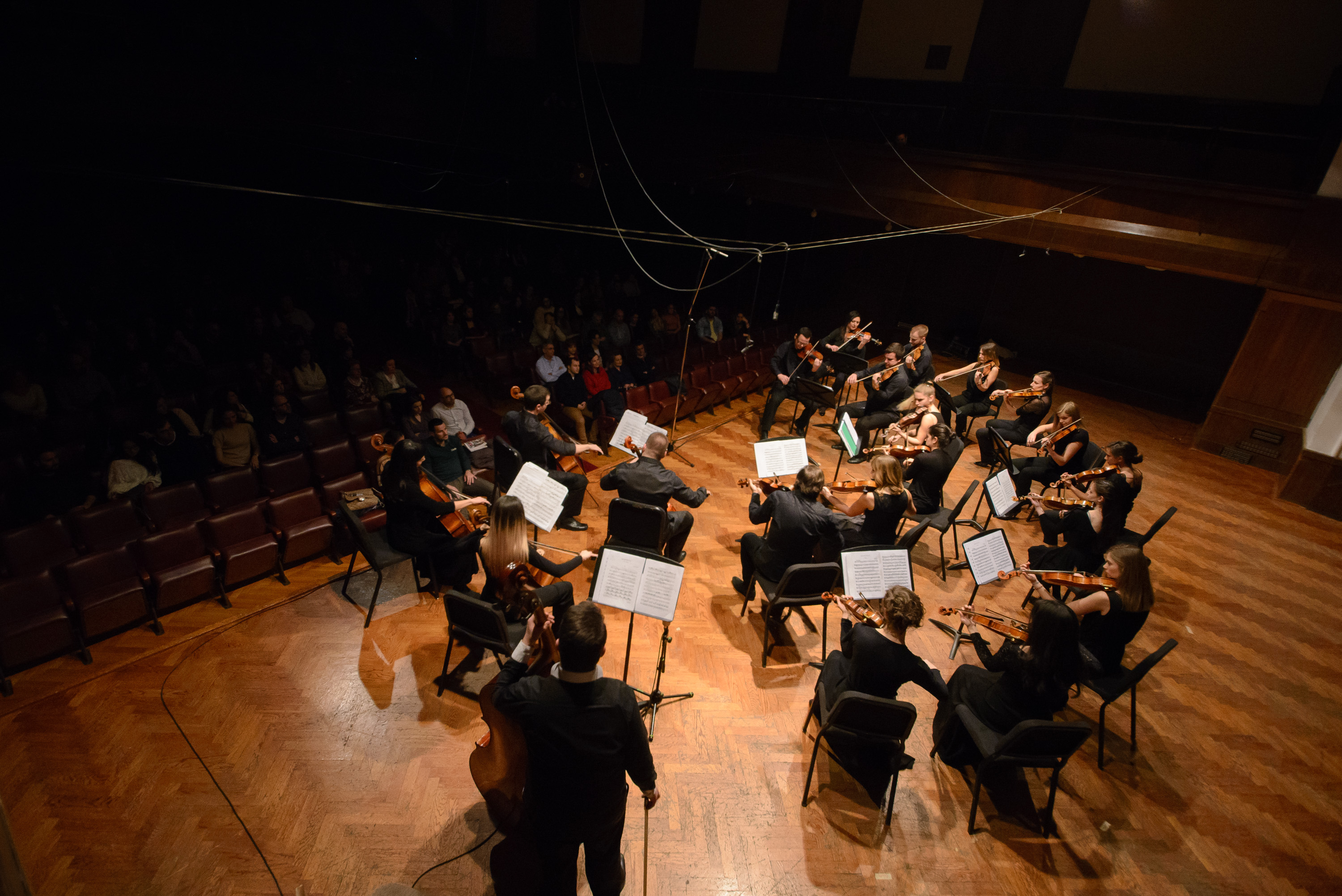 Kamerni orkestar Muzikon