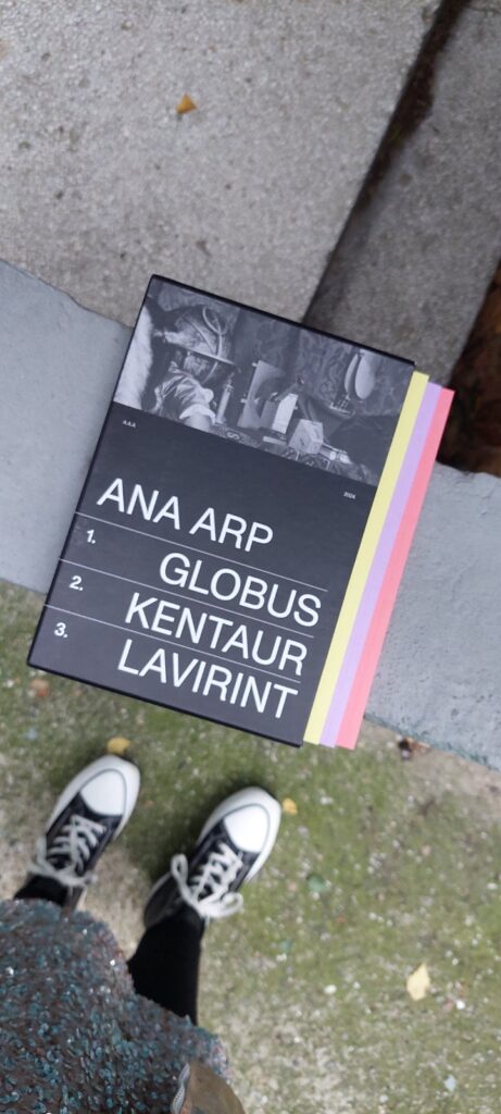 1730302513-foto-ana-arp-1-461x1024.jpg