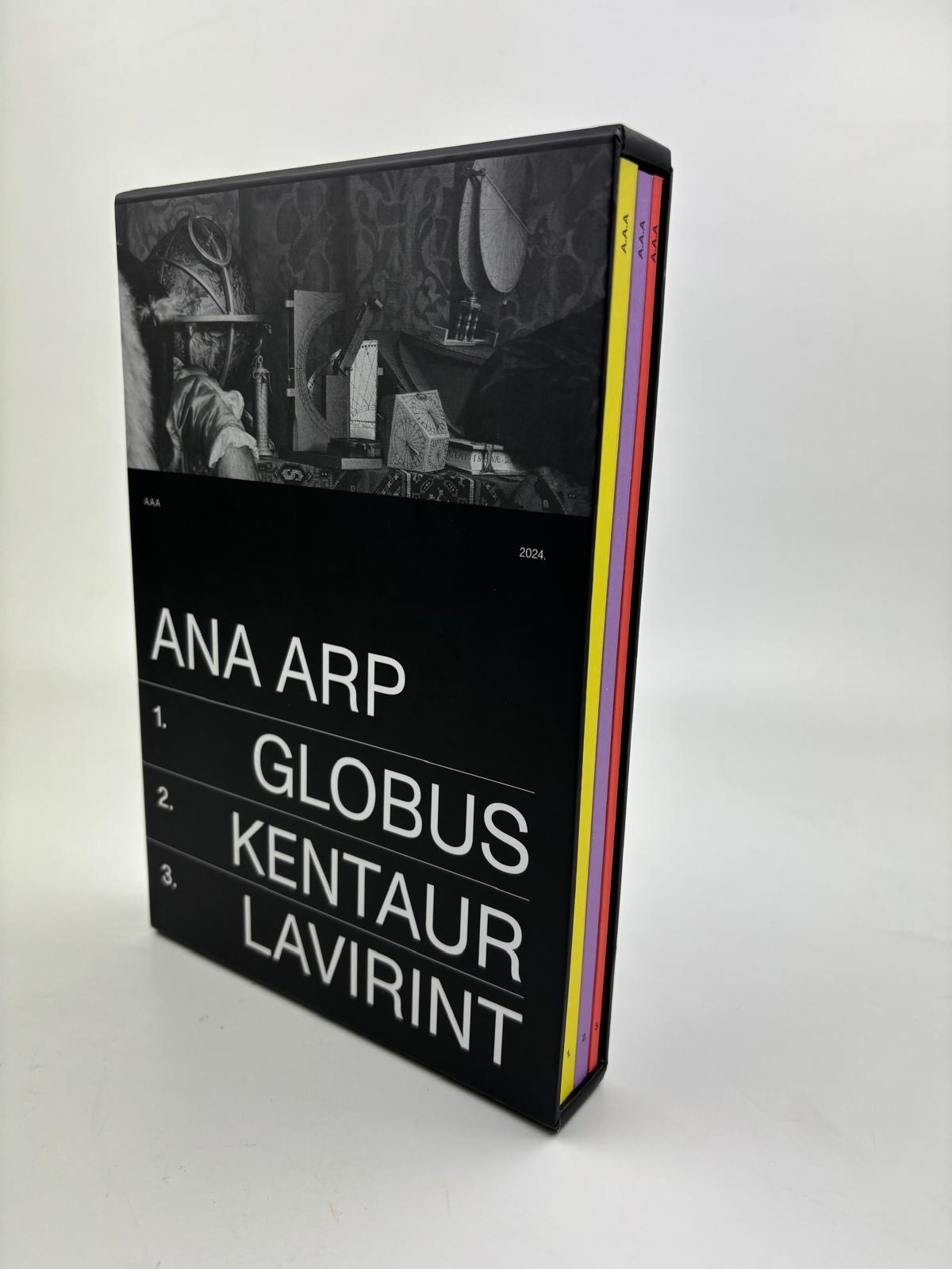 foto ana arp (3)