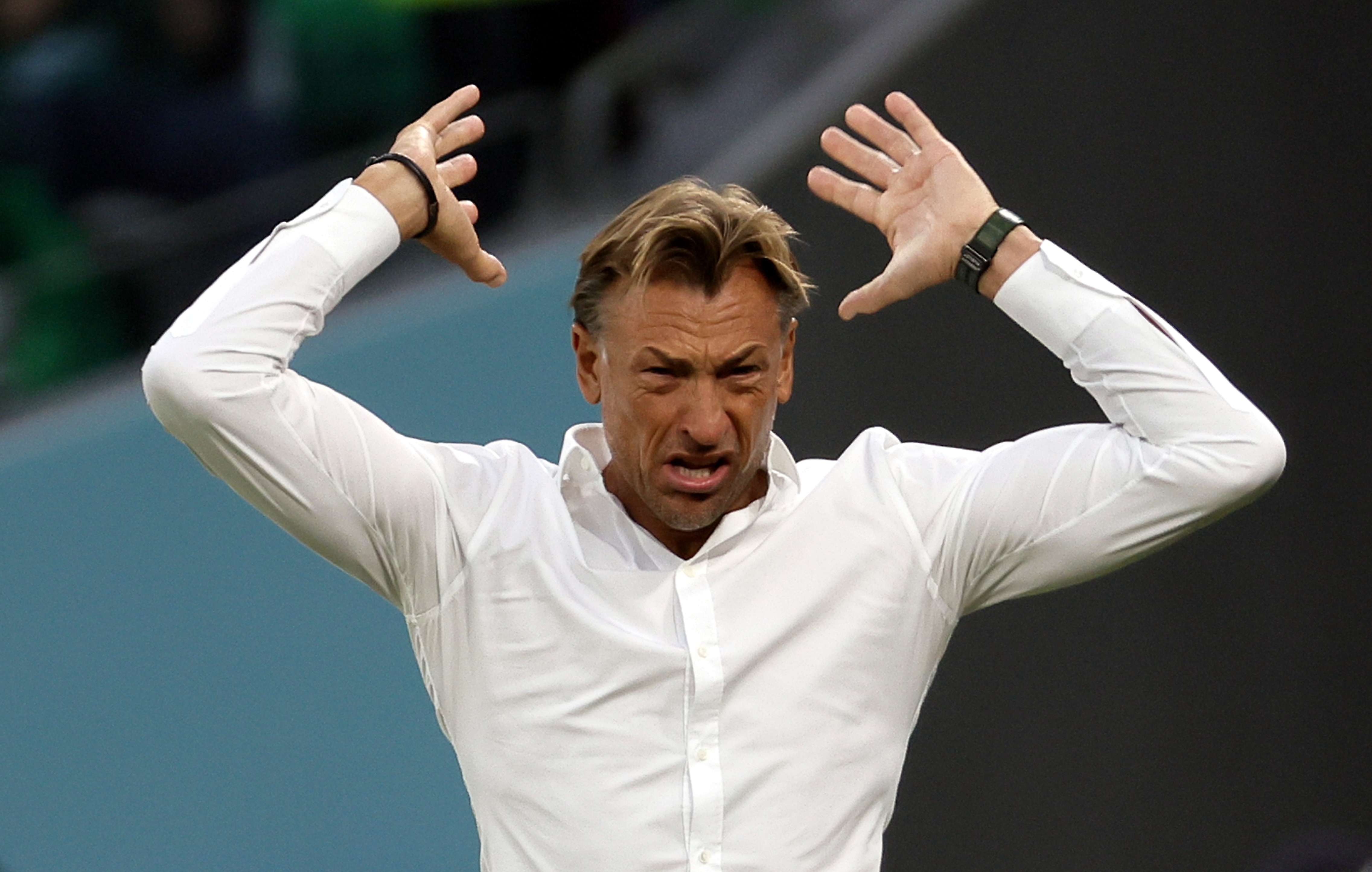 epa10329930 Head coach Herve Renard of Saudi Arabia during the FIFA World Cup 2022 group C soccer match between Poland and Saudi Arabia at Education City Stadium in Doha, Qatar, 26 November 2022.  EPA-EFE/Ronald Wittek