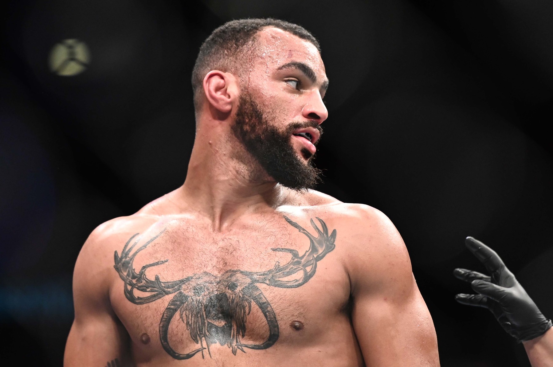 MMA: UFC Fight Night-Stockholm- Stosic vs Clark