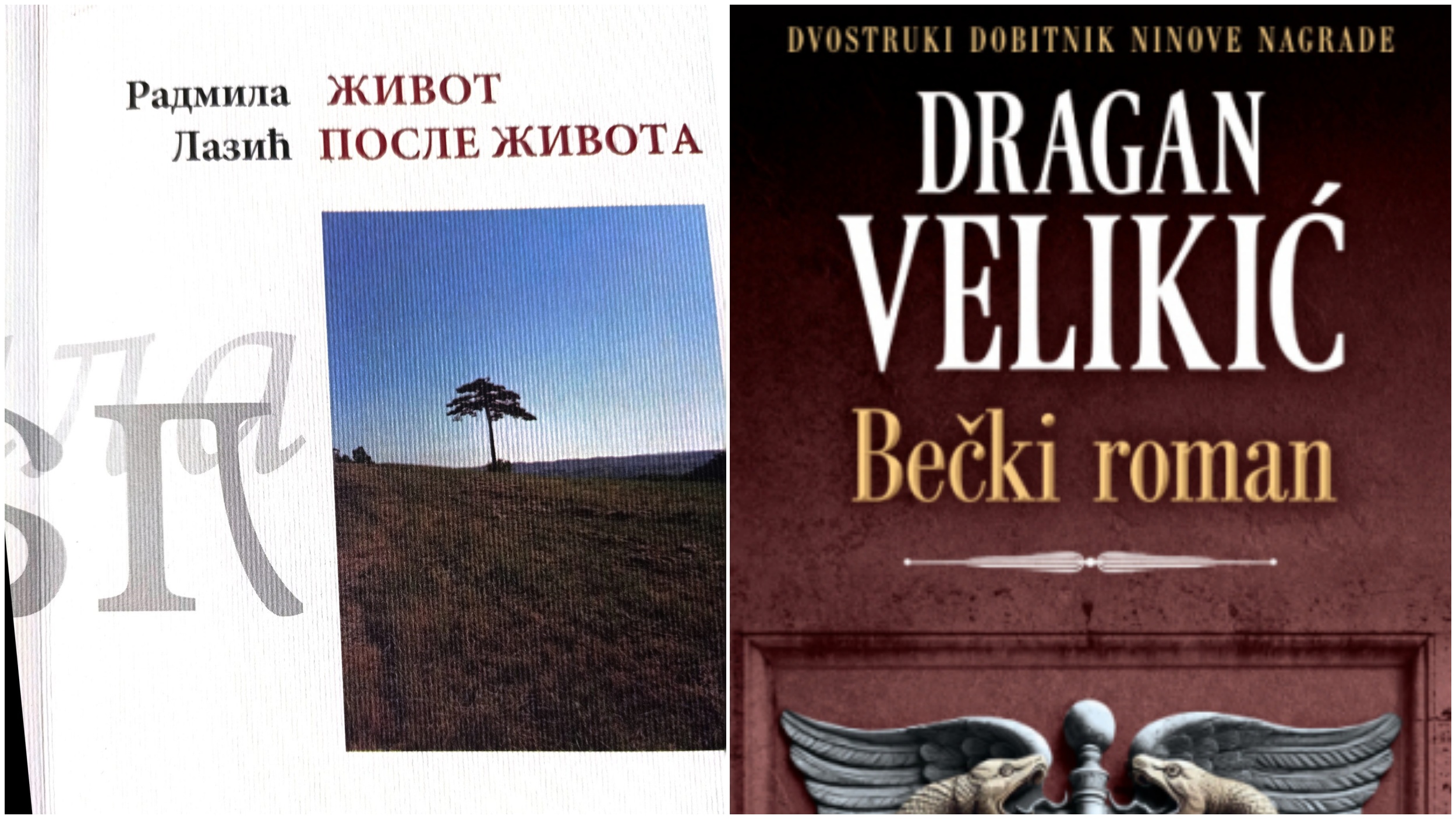 Radmila Lazić, Život posle života, Dragan Velikić, Bečki roman, knjiga  korice, kombo Foto: Promo