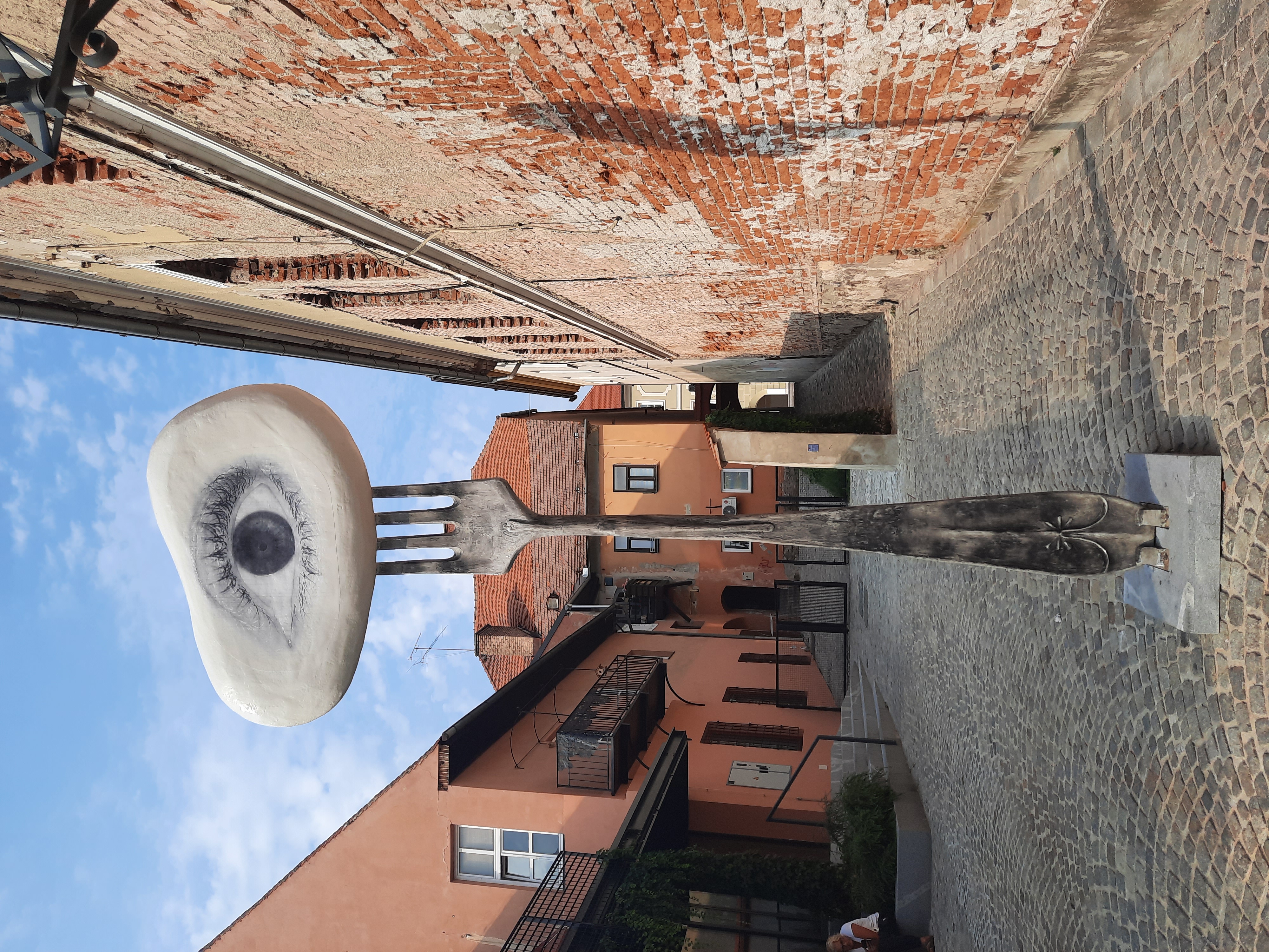 Reportaza za monu cukic