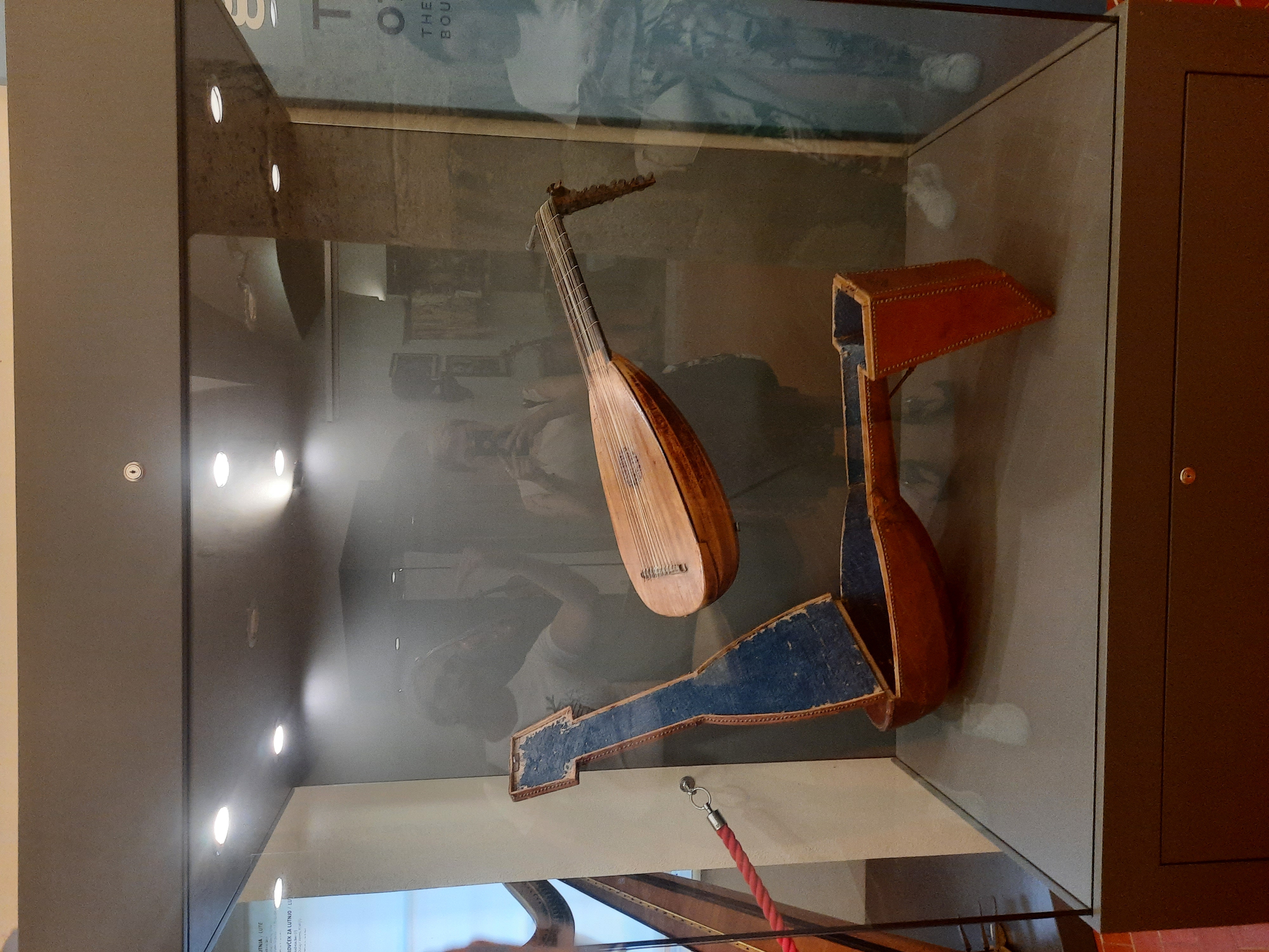 Reportaza za monu cukic