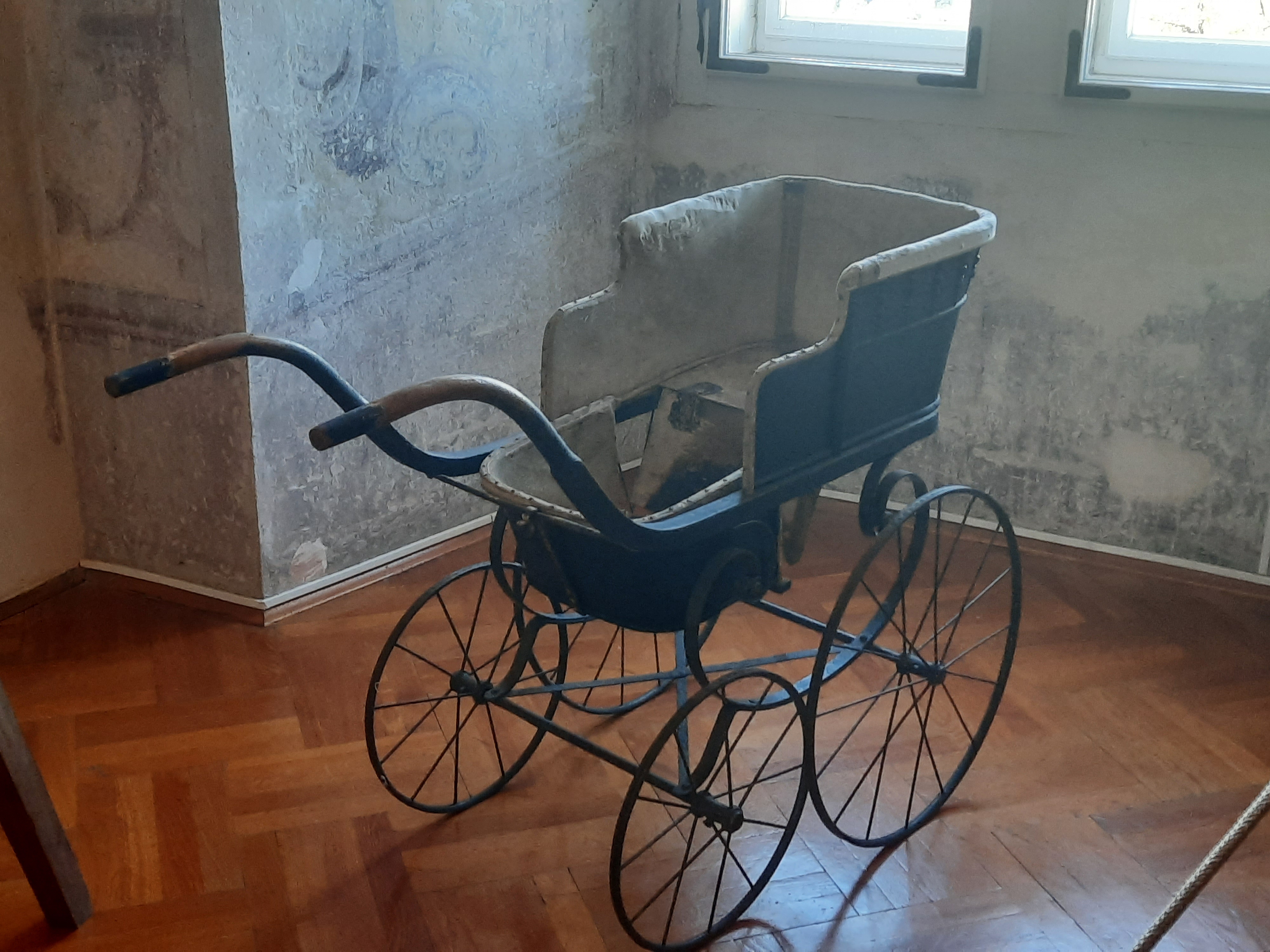 Reportaza za monu cukic