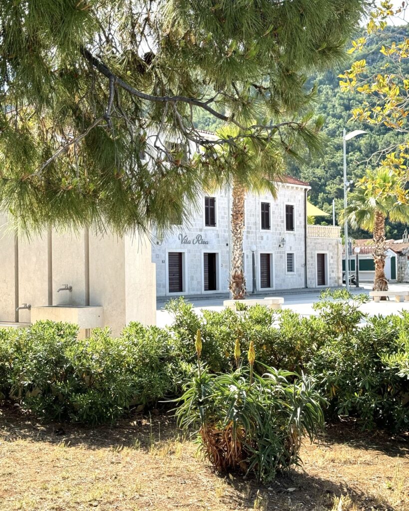 Slano Film Days: Peterostruki Oskarovac predvodi listu predavača / Five-Time Oscar-Winning Director Leads The List Of Lecturers