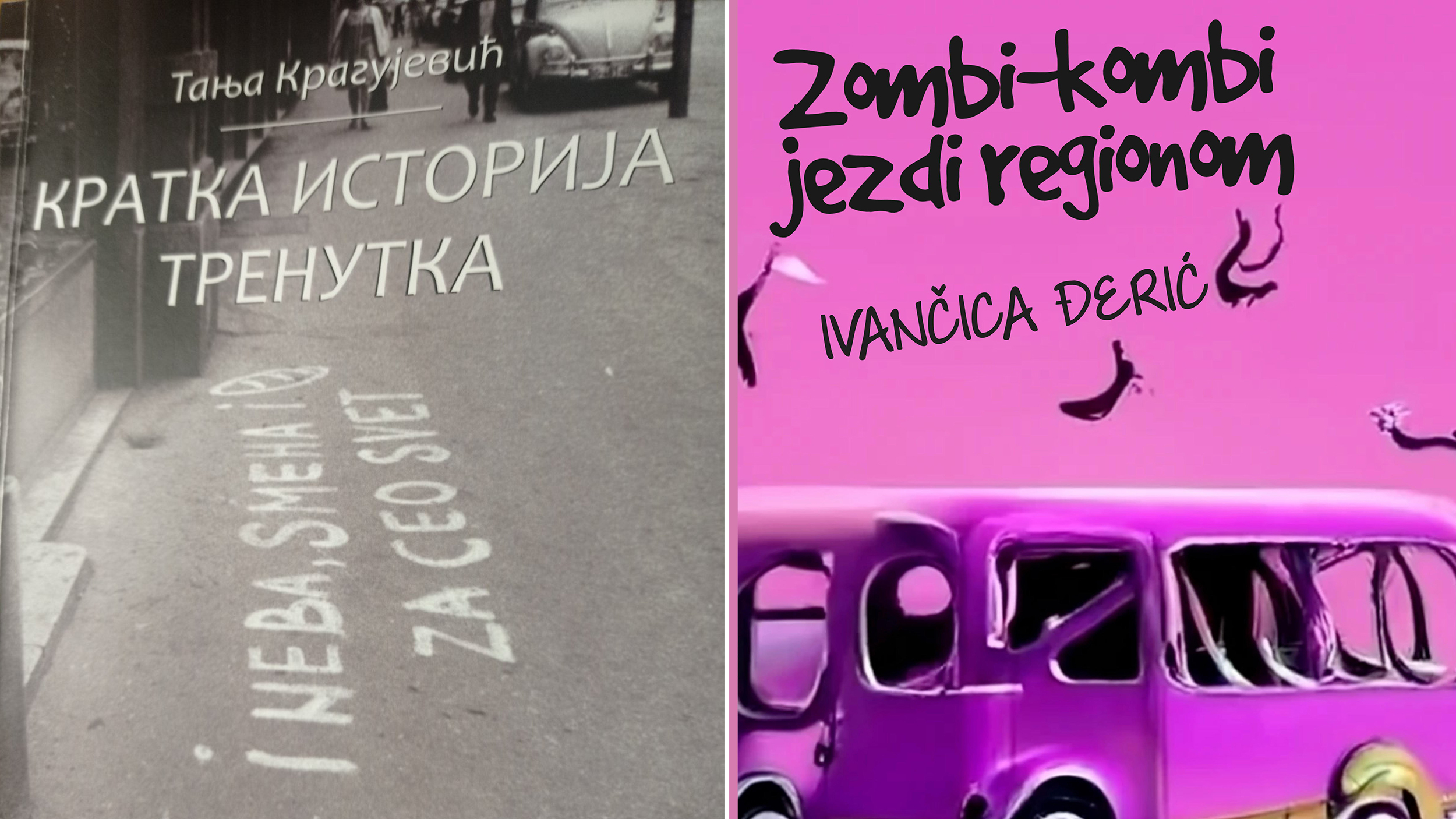 Tanja Kragujević, „Kratka istorija trenutka“,