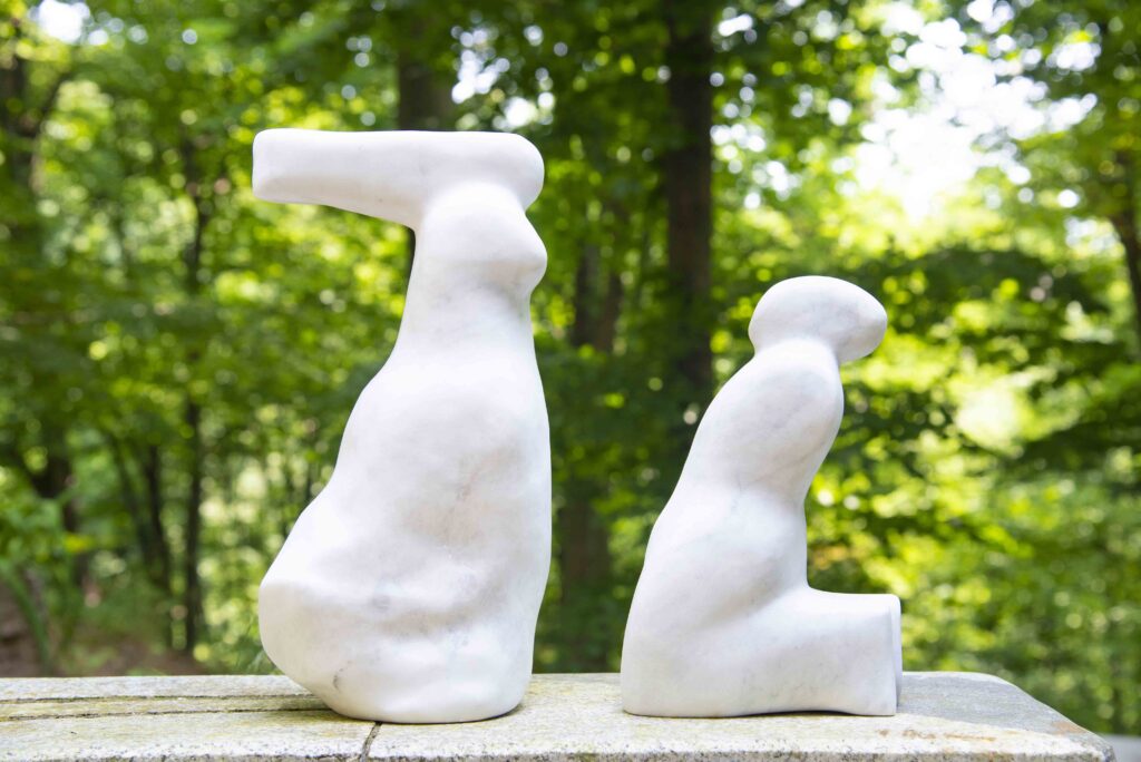 likovna kolonija bukulja