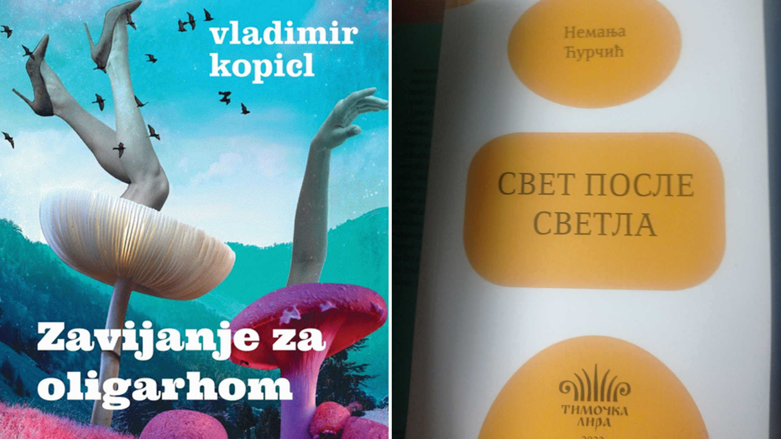 Zavijanje za oligarhom, Svet posle svetla
