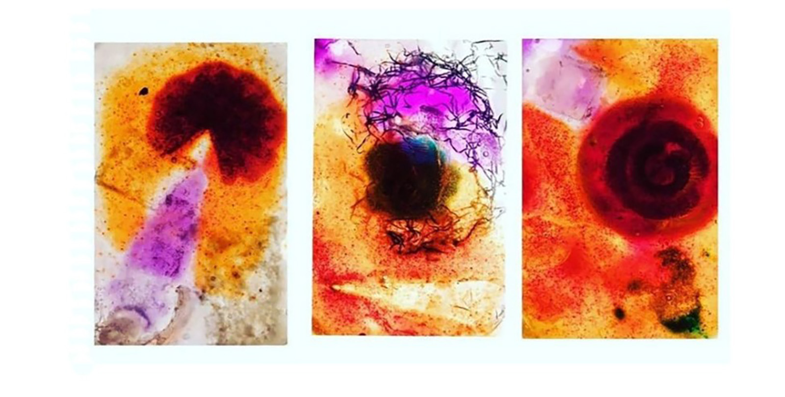 Izložba "Belo svetlo" Danijele Odbašić
Muzej grada Beograda