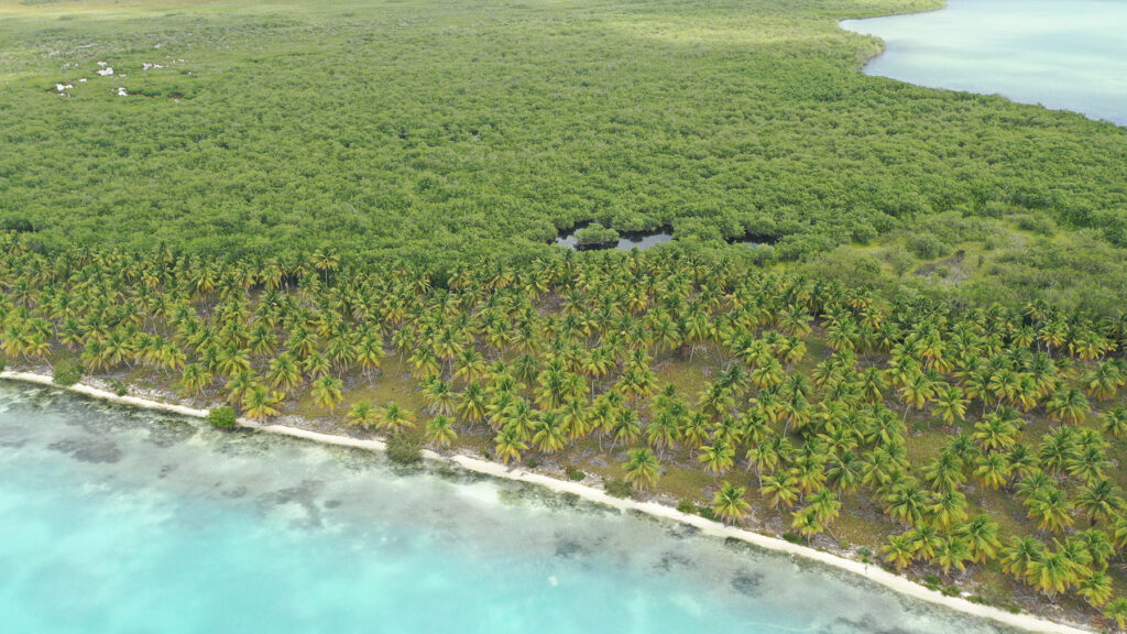 SURVIVOR 2023, Dominikana