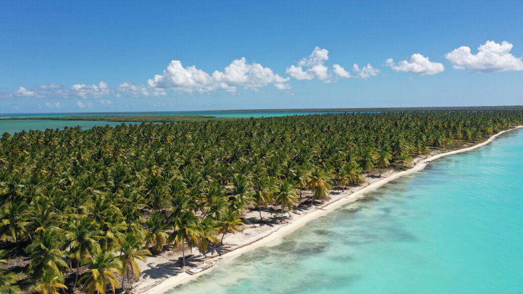 SURVIVOR 2023, Dominikana