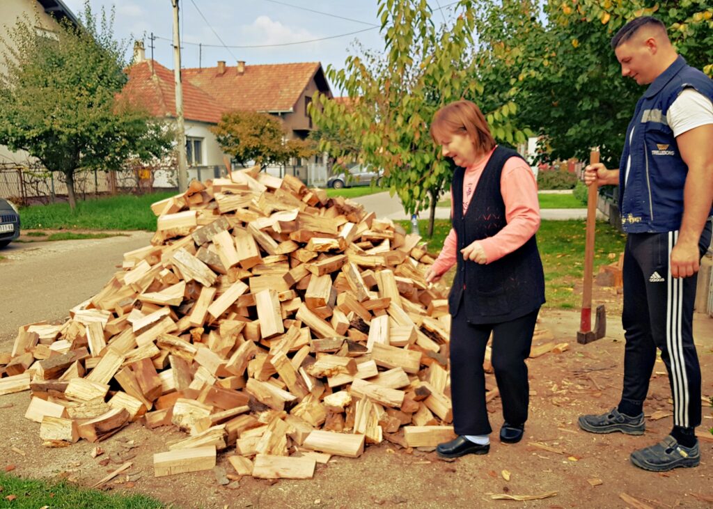 1669384121-viktor-2-1024x731.jpg