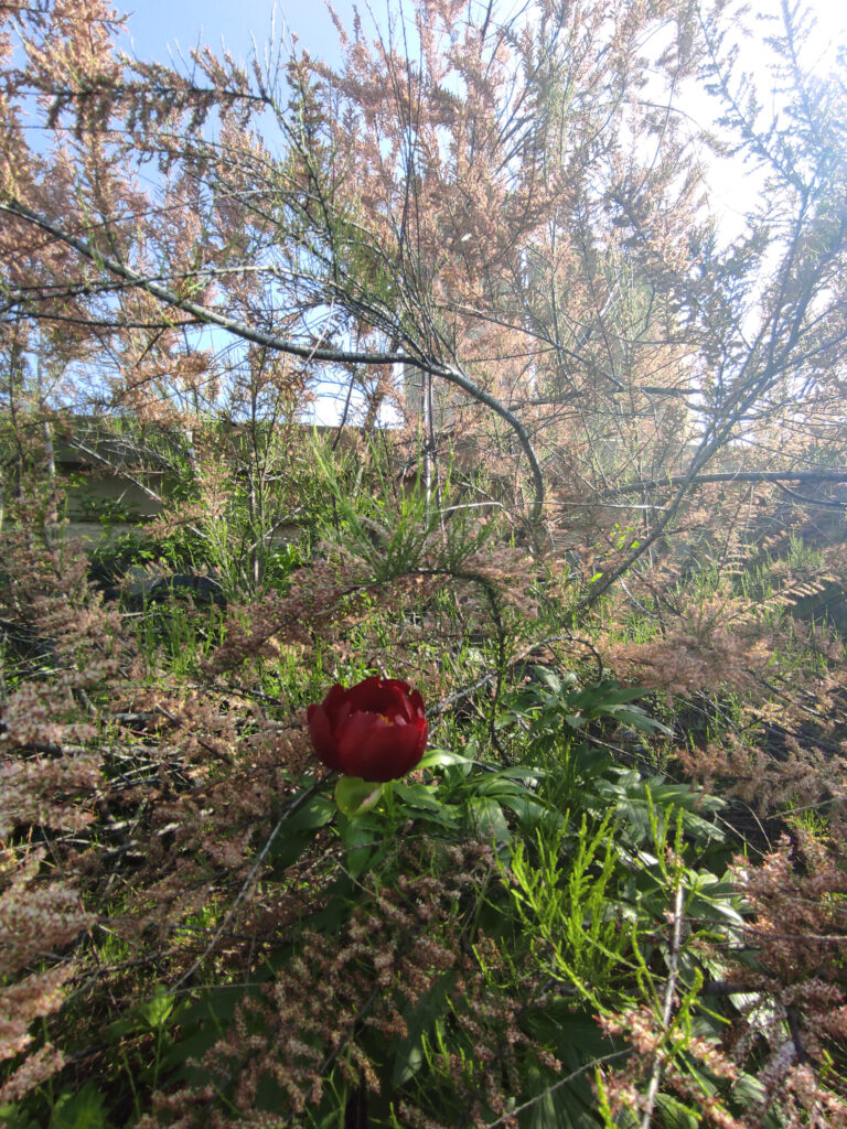 kosovo i metohija reportaža jovan mladenović