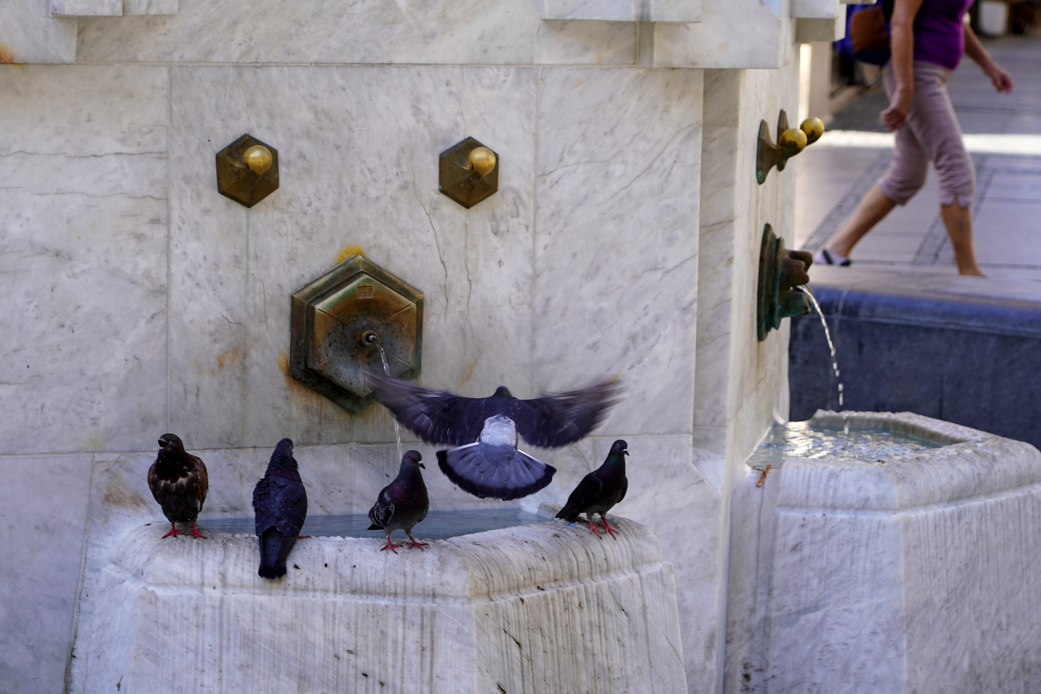 CESMA U KNEZ MIHAILOVOJ