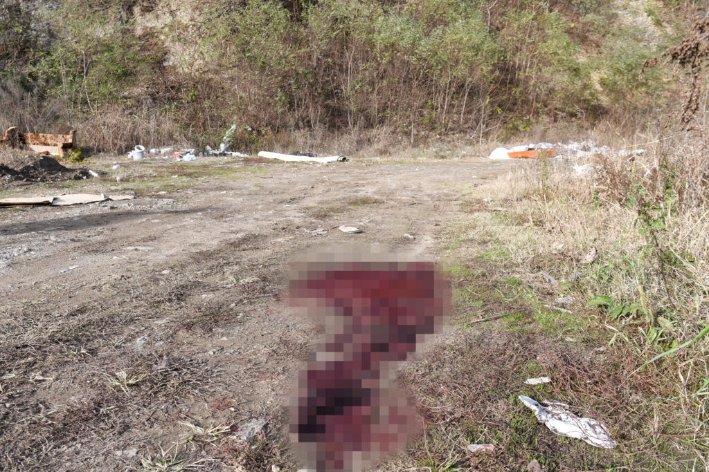 mesto gde je ranio zenu   Kruševac, selo Milutovac 13.11.2023. Mesto zločina, Zoran R ubio ljubavnicu, ženu pa izvršio samoubistvo Foto: Filip Krainčanić/Nova.rs