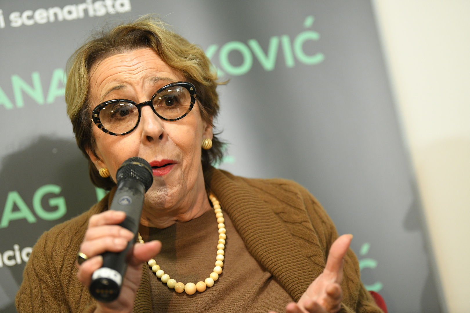 Zrenjanin 13.11.2023. Prva tribina Inicijative ProGlas u Zrenjaninu. Inicijativa ProGlas Foto: Amir Hamzagić/Nova.rs