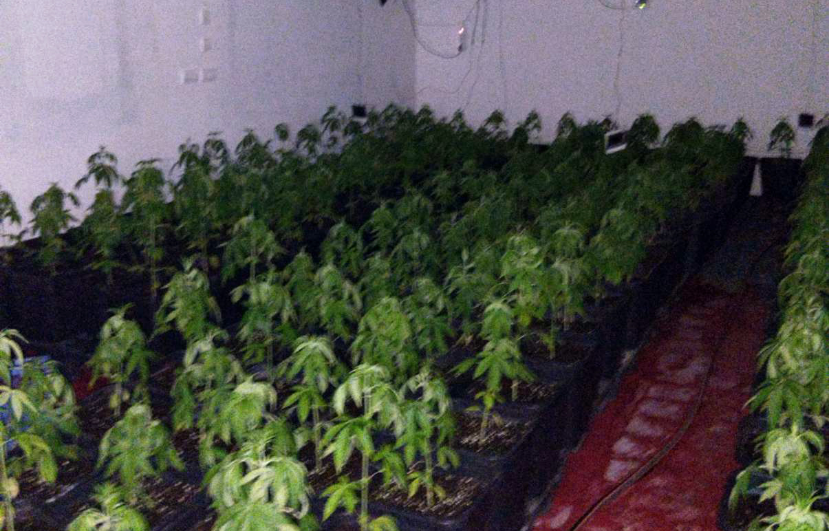 LABORATORIJA ZA PROIZVODNJU MARIHUANE