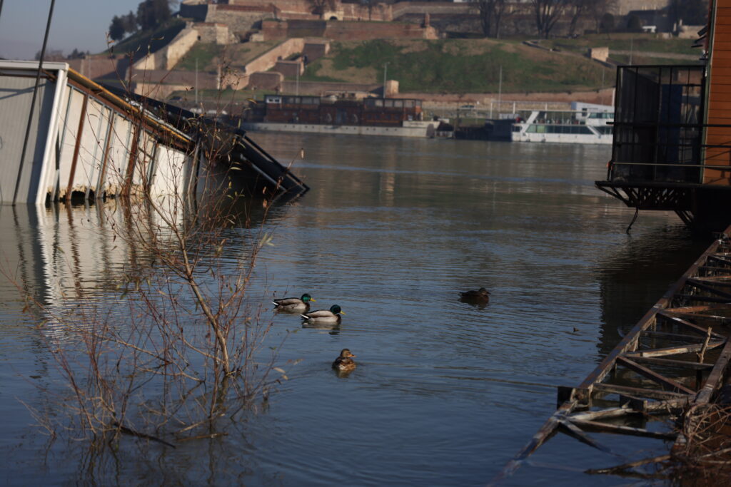 Beograd 31.12.2023. Freestyler, Fristajler, splav godinu dana kasnije, godinu dana od kako je potonuo splav Foto: Marina Pupavac/N1