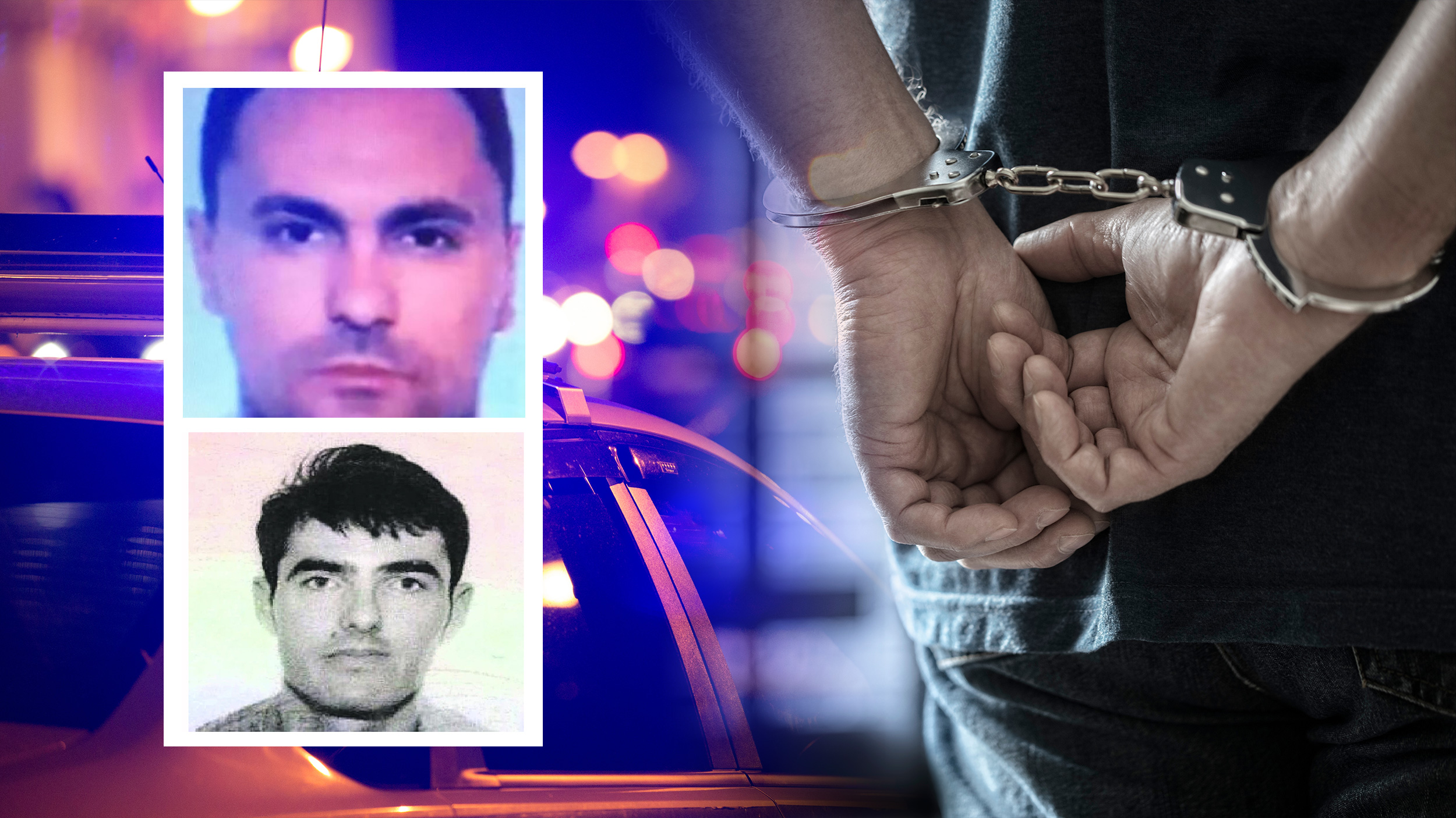 Jovan Vukotić, Milan Vujotić