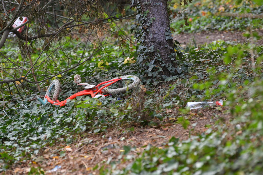 Novi Sad 03.11.2023. Hronika, ubistvo u Novom Sadu Foto: Amir Hamzagić/Nova.rs