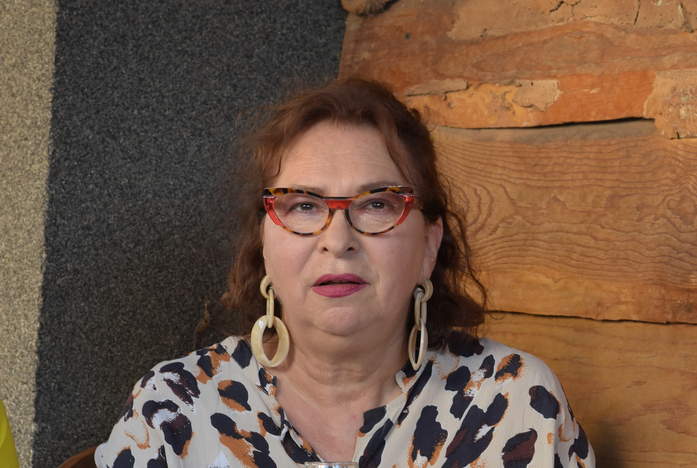 A press conference was held at the City Hall on the occasion of the Nisville Jazz Festival, at which the Lifetime Achievement Award was presented to Jova Radovanovic (Seven Young People), after which a plaque with the name of Misa Blame was officially unv