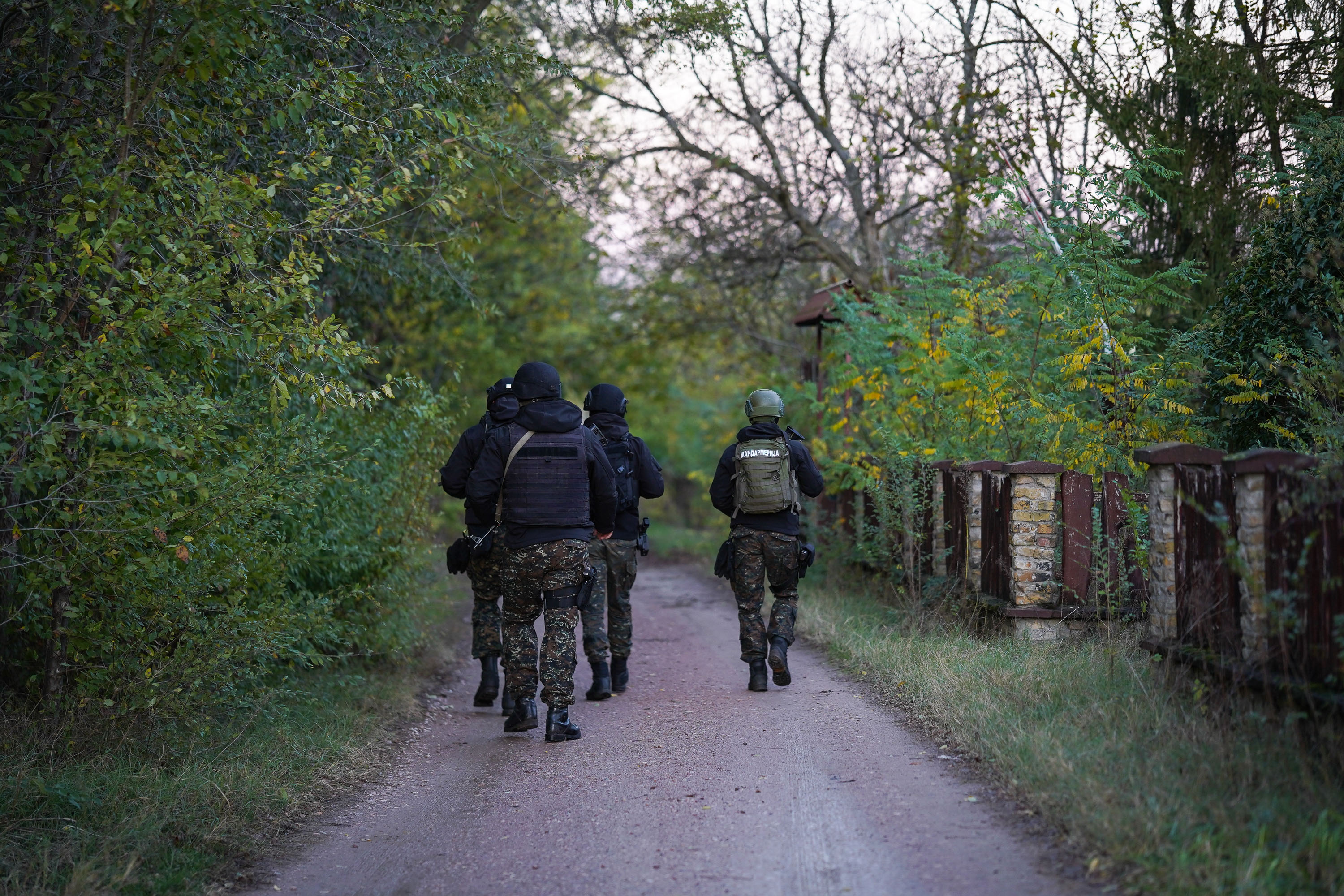 Iregularni migranti, policija, žandarmerija, ilustracija, pokrivalica, fičer, leđa, ledja Foto: MUP